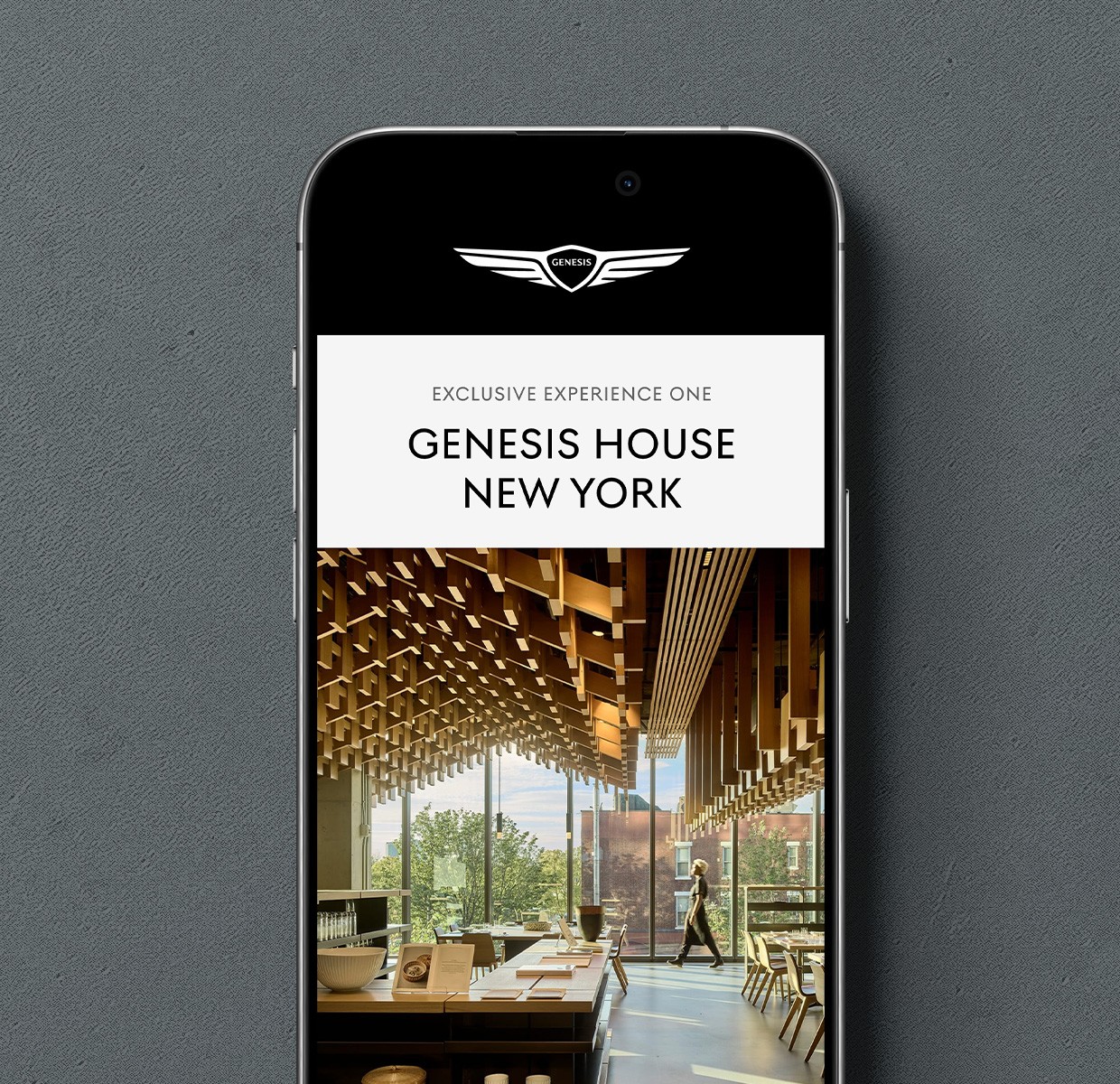 Project Gallery Image for 50% width of the screen #1