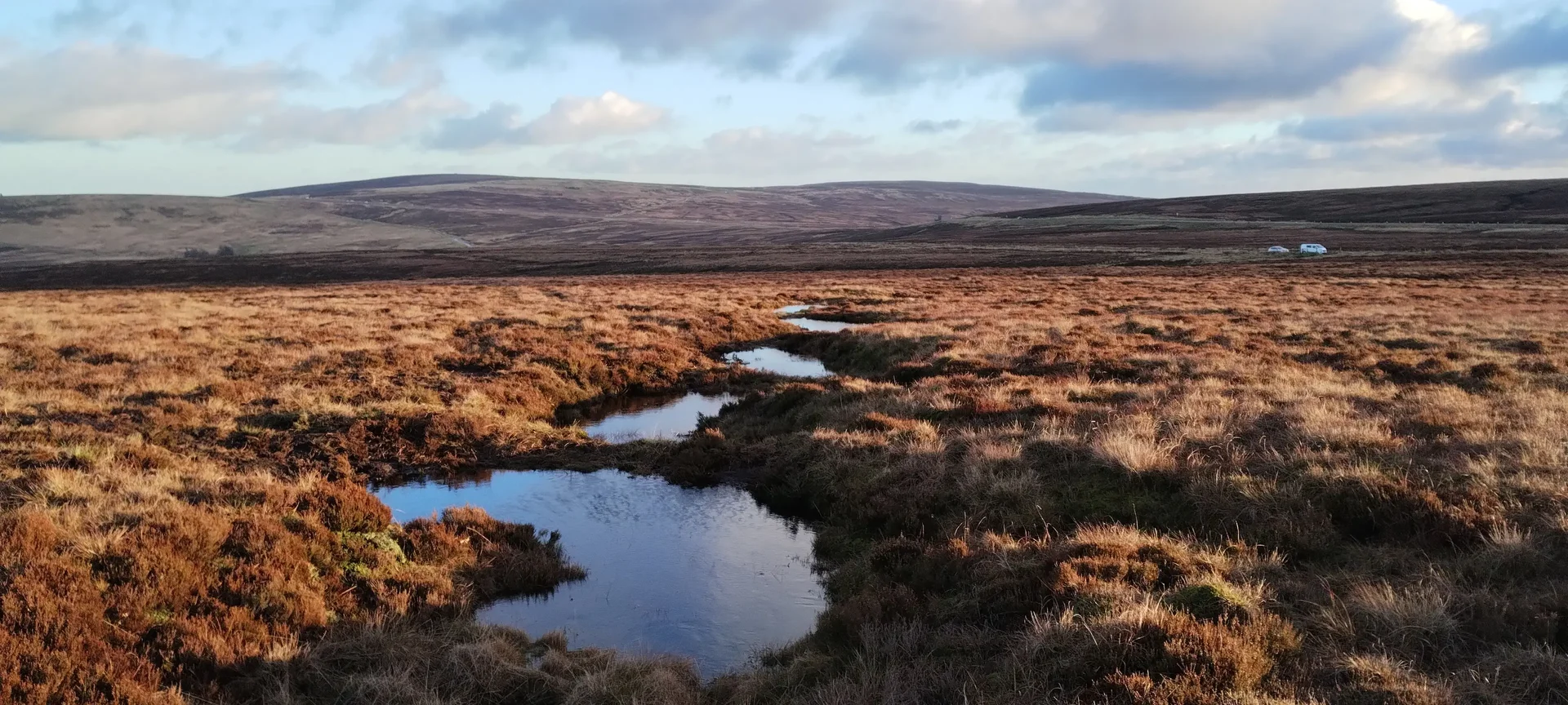 Peatlands