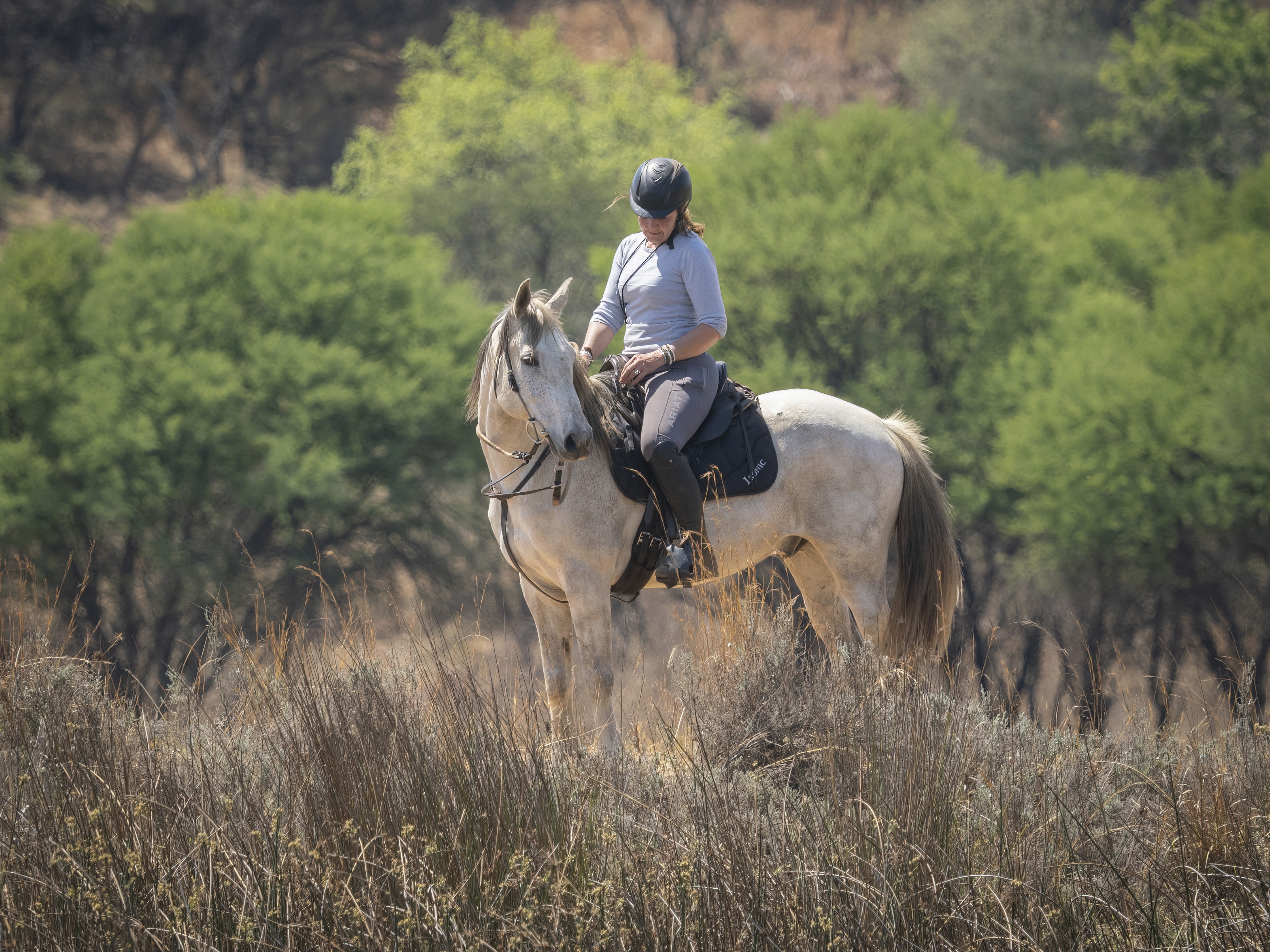 African Explorer, Botswana. En lång rad gnuer rör sig över slätterna med ryttarna i bakgrunden – ett klassiskt motiv från en ridsemester i Botswana.
