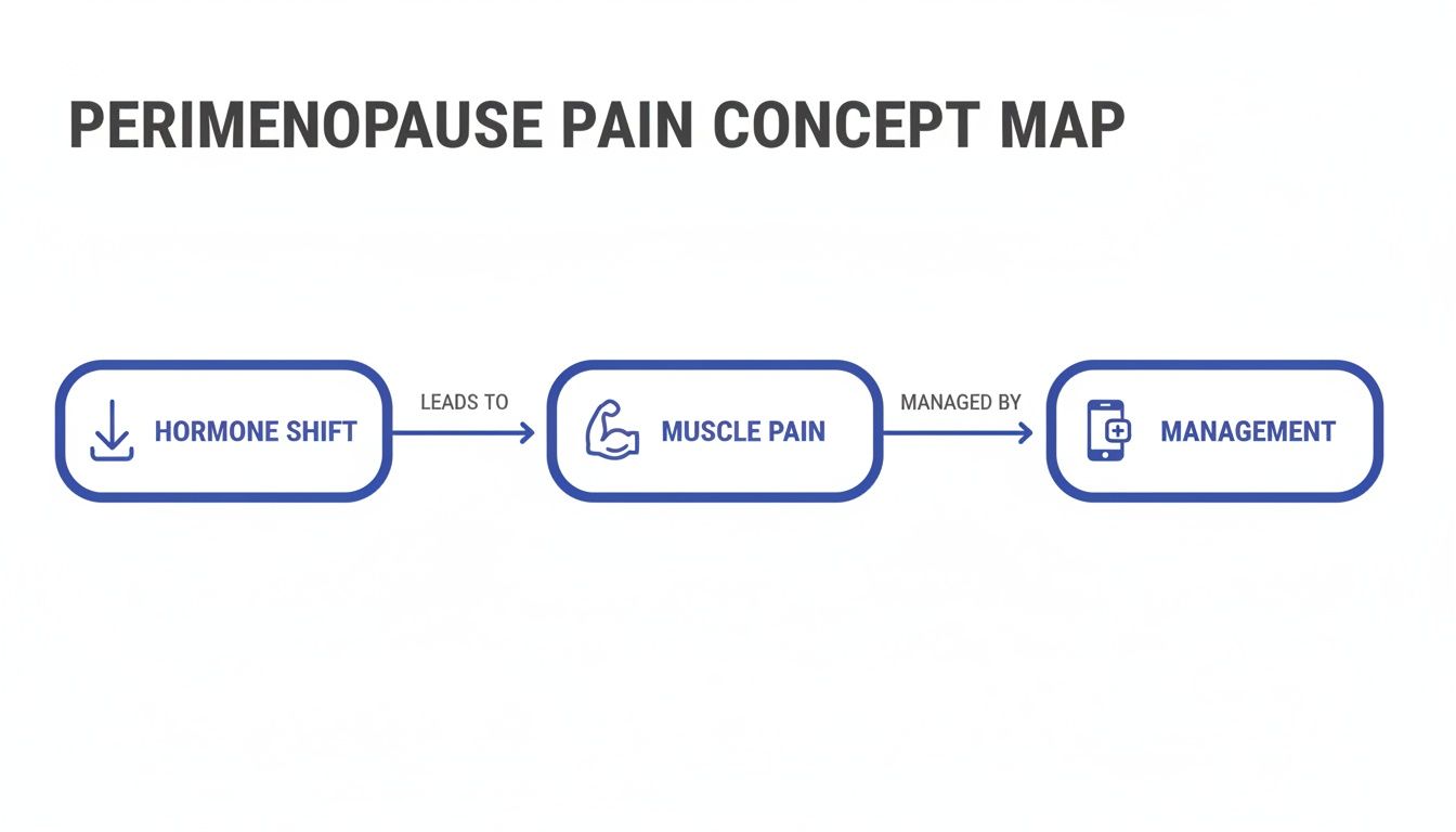 Concept map illustrating perimenopause pain: hormone shifts lead to muscle pain, managed by digital tools.