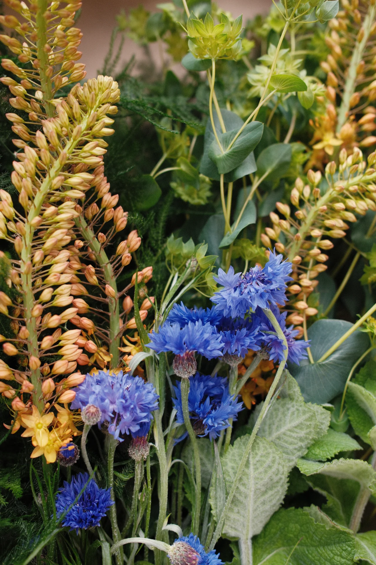 Signature Bunch