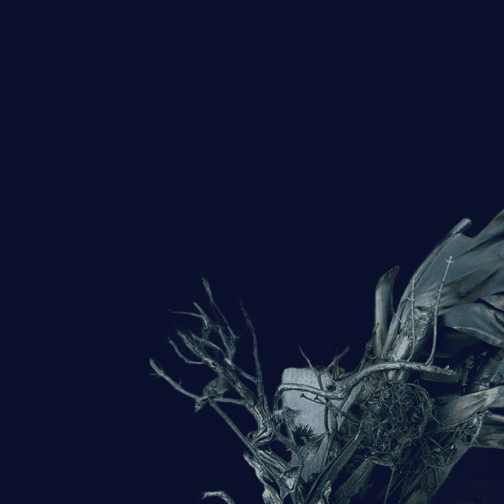 Artistic dried flower arrangement in deep blue tones with sculptural driftwood