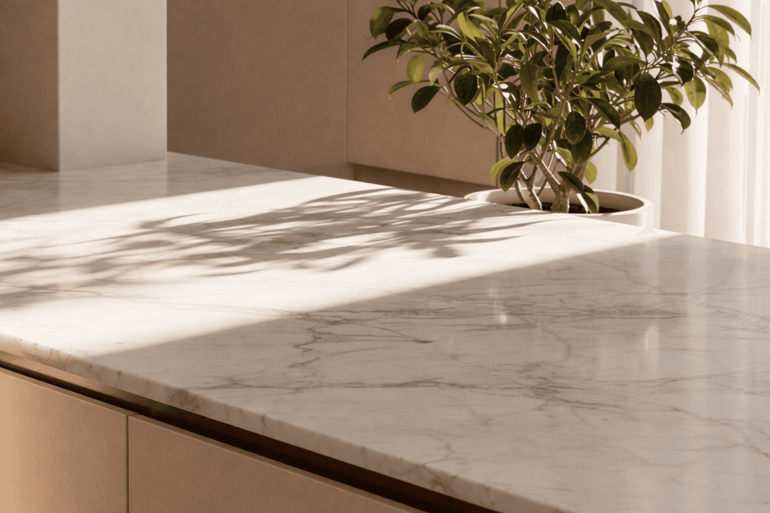 marble desk and plant