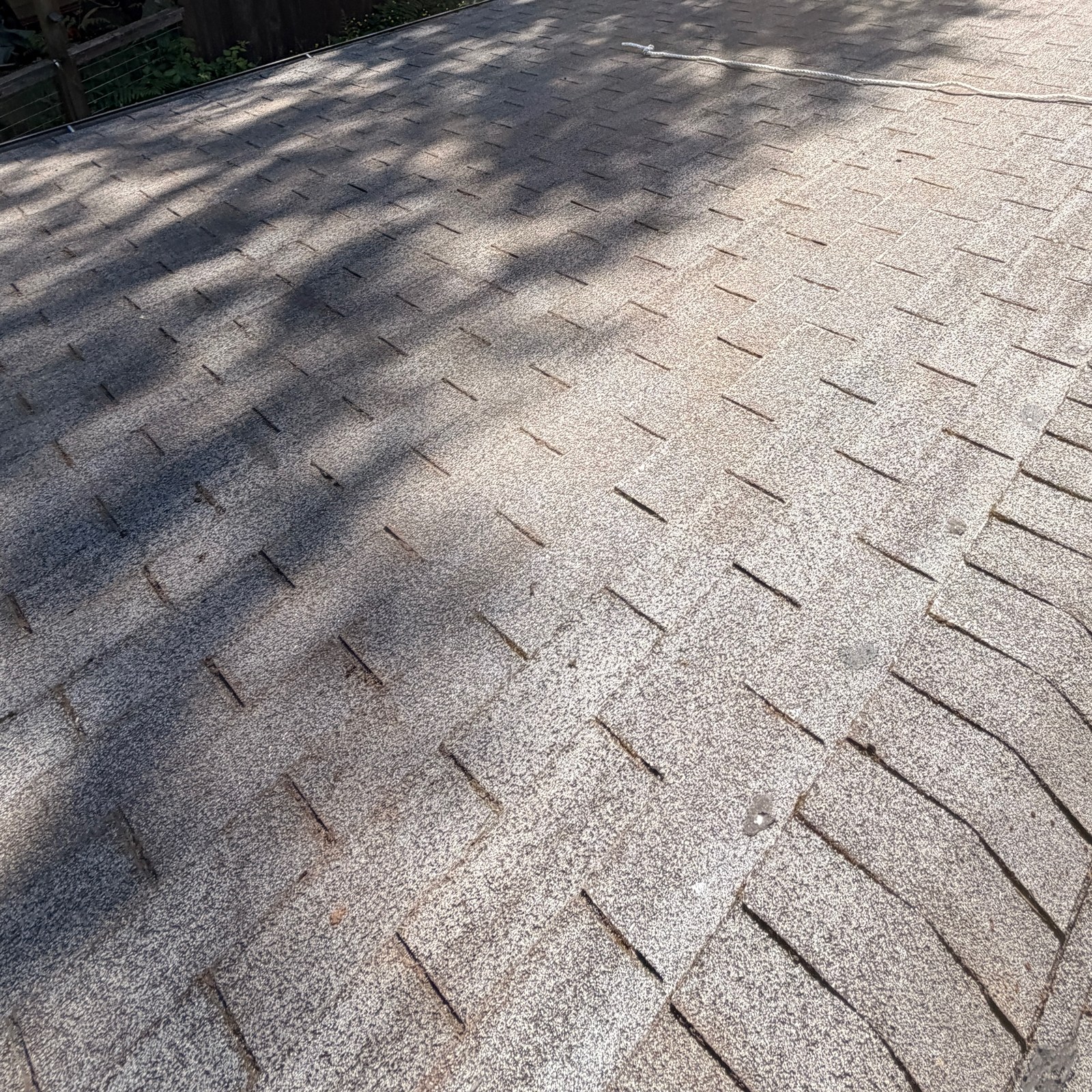 After: roof cleaning: mid-job vs. finished by Peterson Property Services in Granite Falls, WA