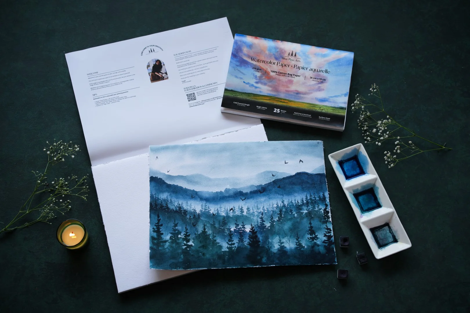 white and gray bird sketch