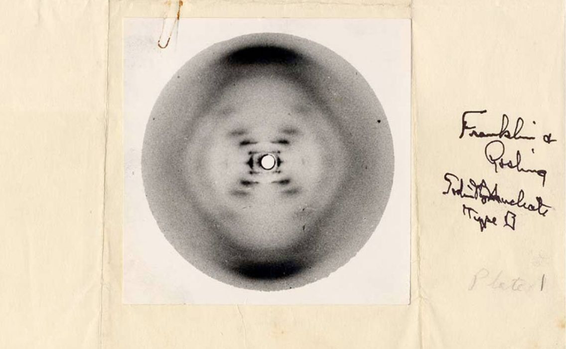 Rosalind Franklin and the overlooked role of women in STEM history