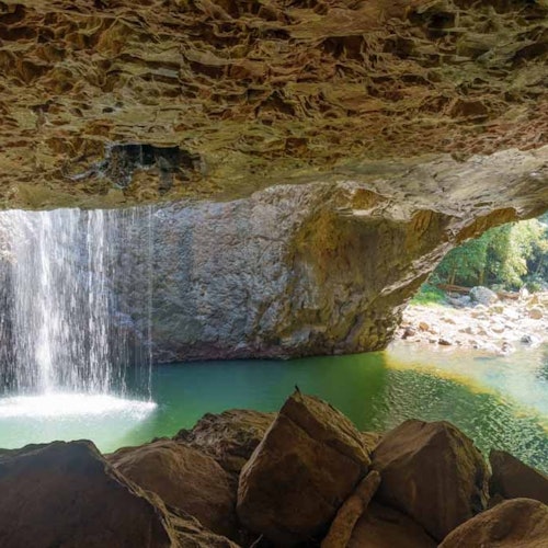 Natural Bridge & Springbrook Waterfalls Tour from Gold Coast tickets in Natural Bridge