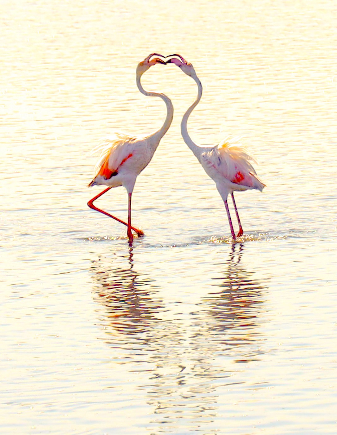 Um Encontro Perfeito
