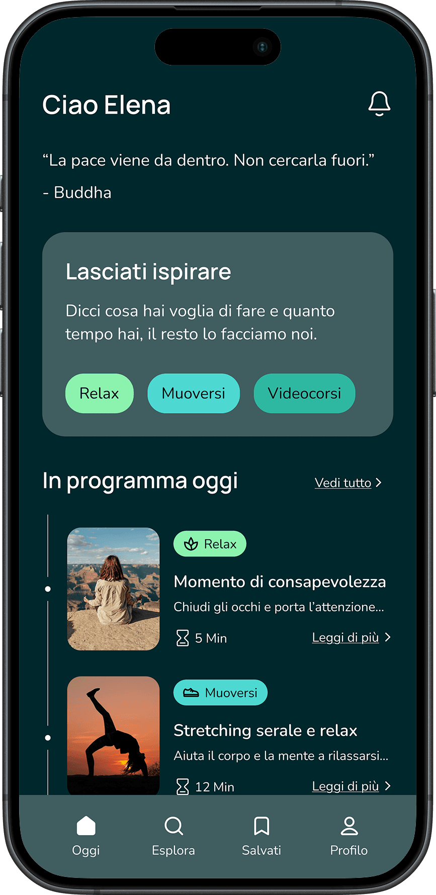 Mockup of the app homepage