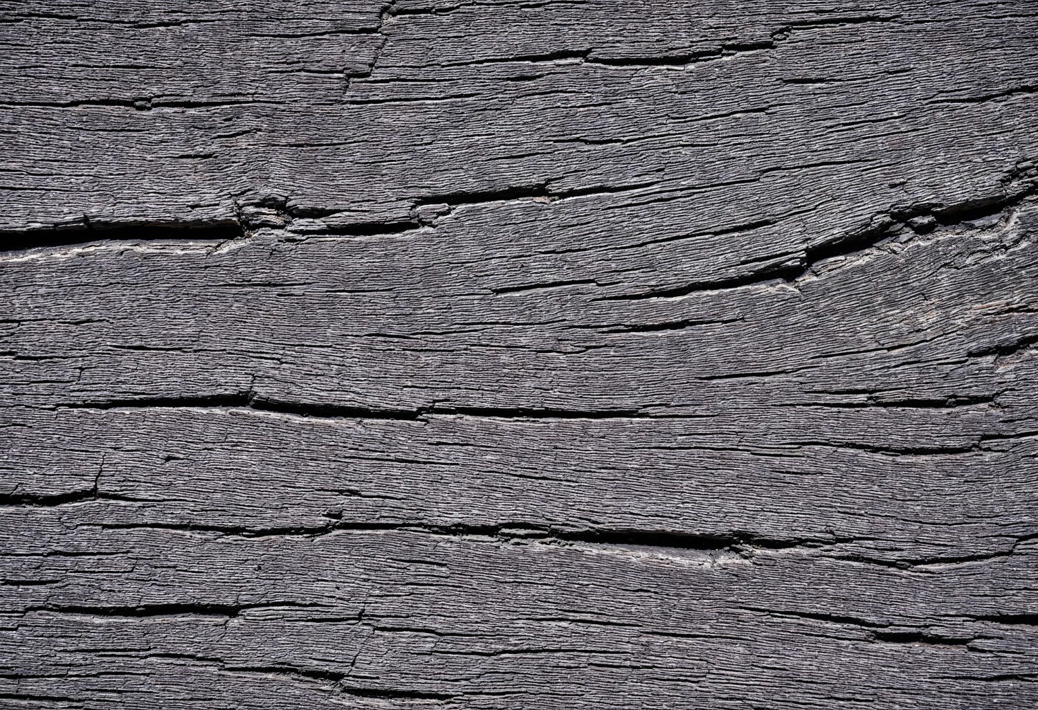 Texture