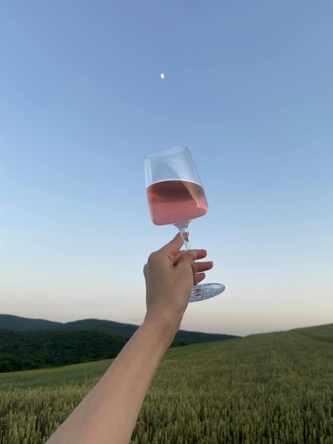 A person holding a wine glass