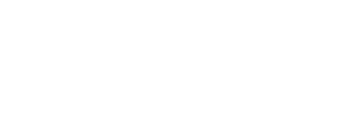 Rogue VC logo