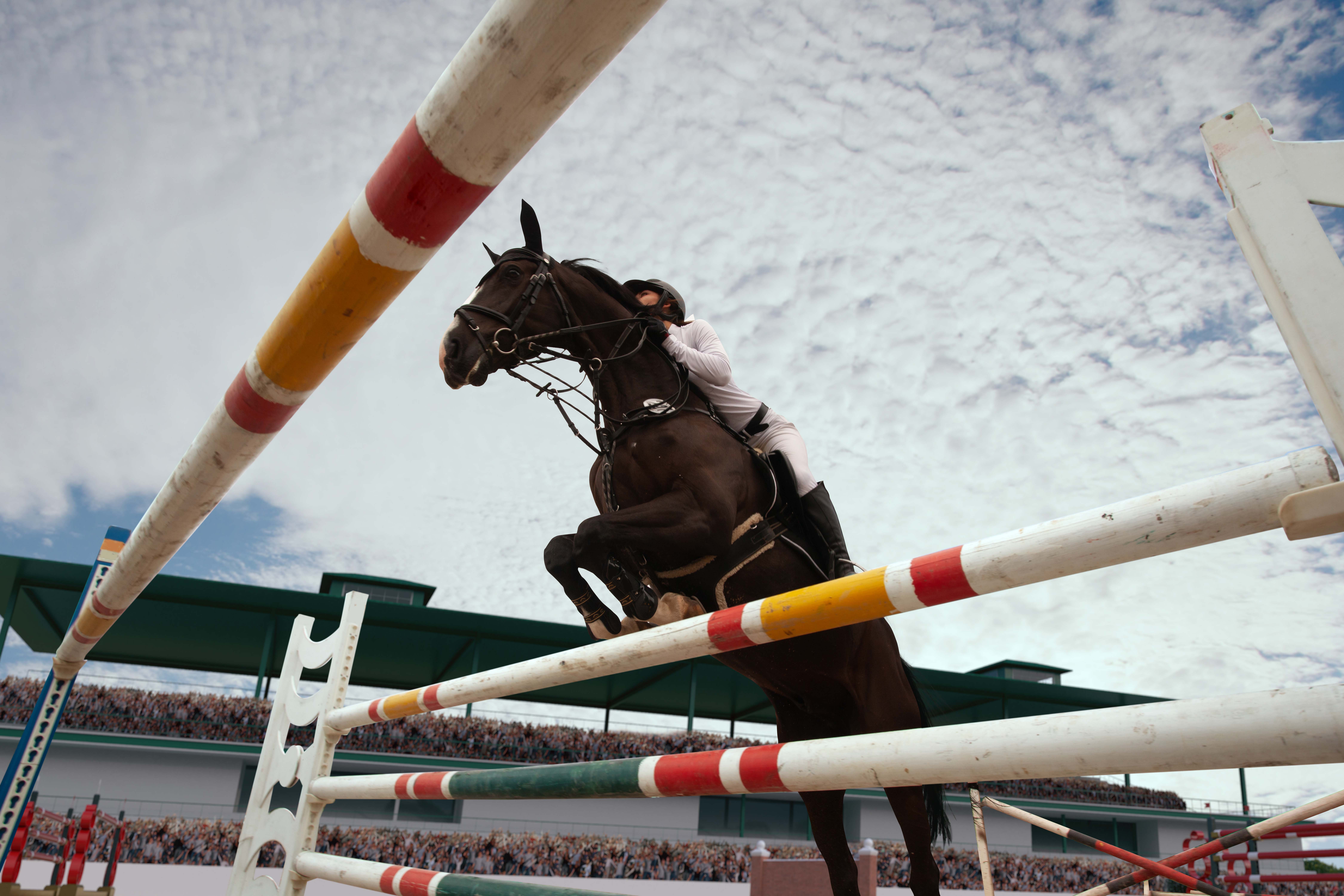 Horse Jumping