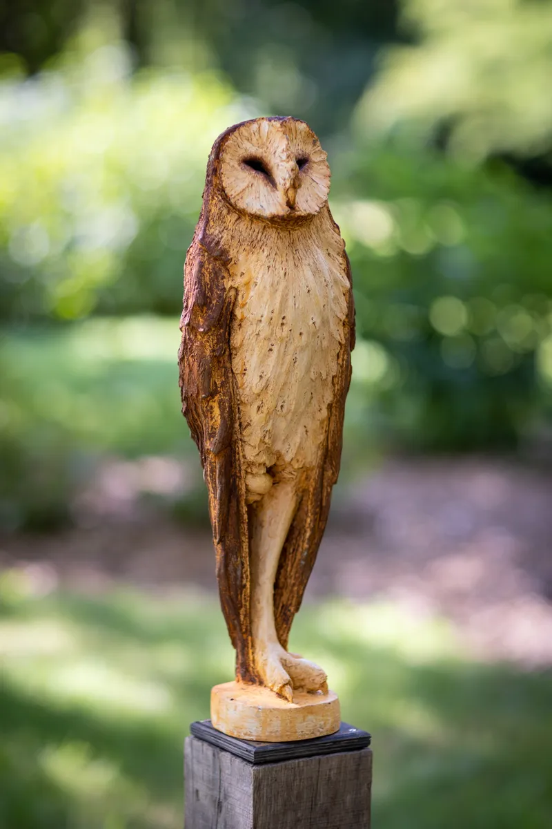 Owl Posting full shot