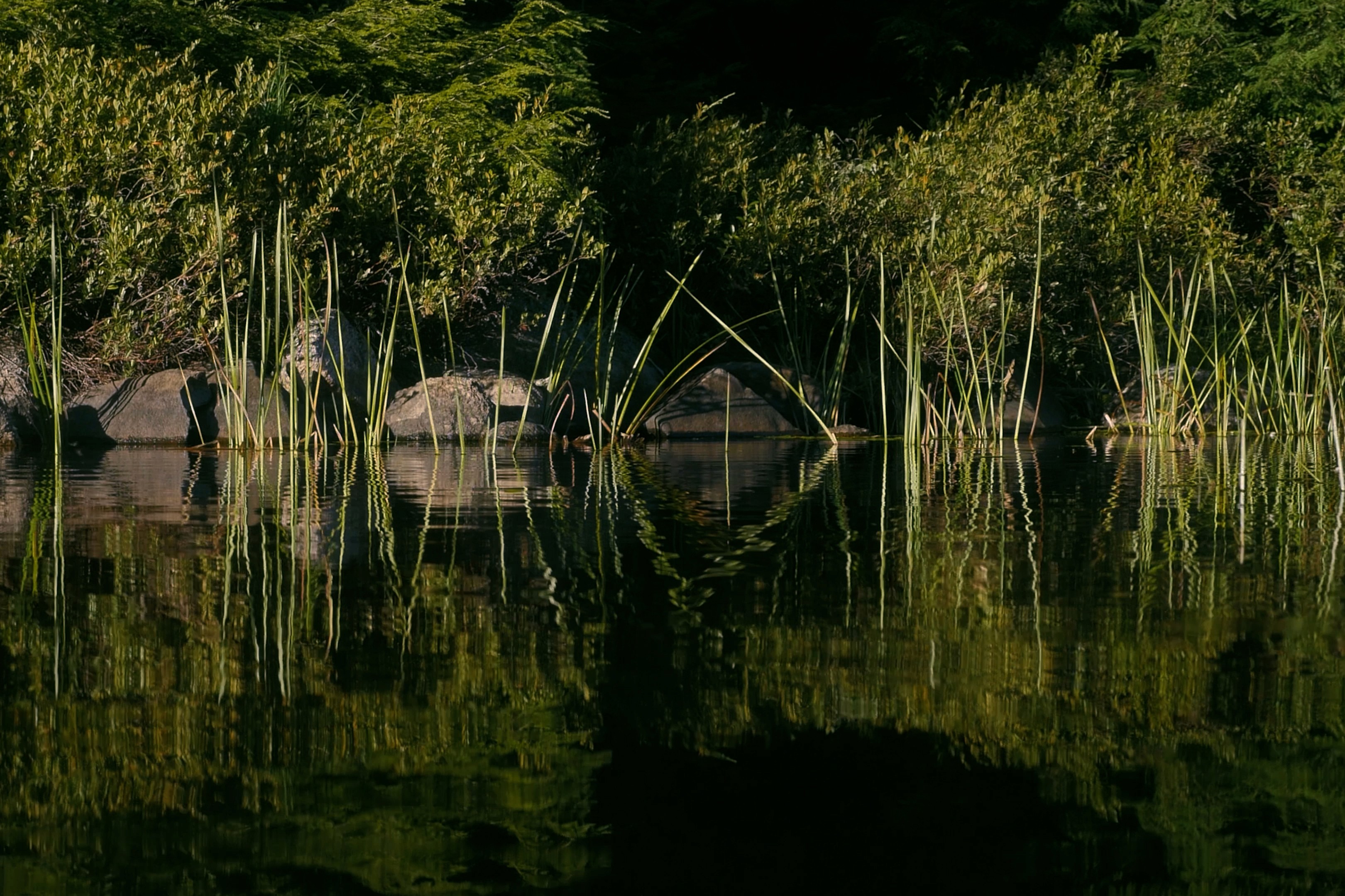 Cinematic landscape film capturing nature for La vie au lac creative video in Laurentides, Quebec