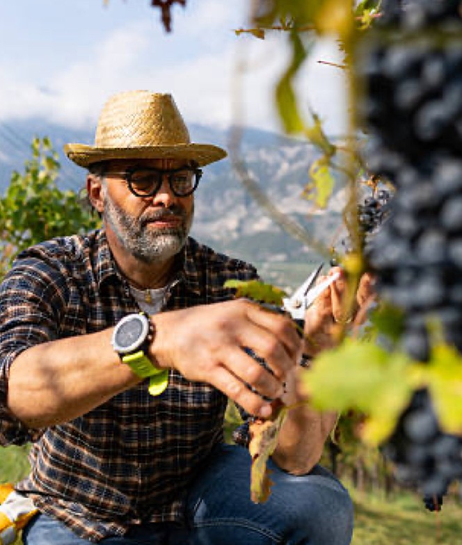 a man holding a microphone in his hands