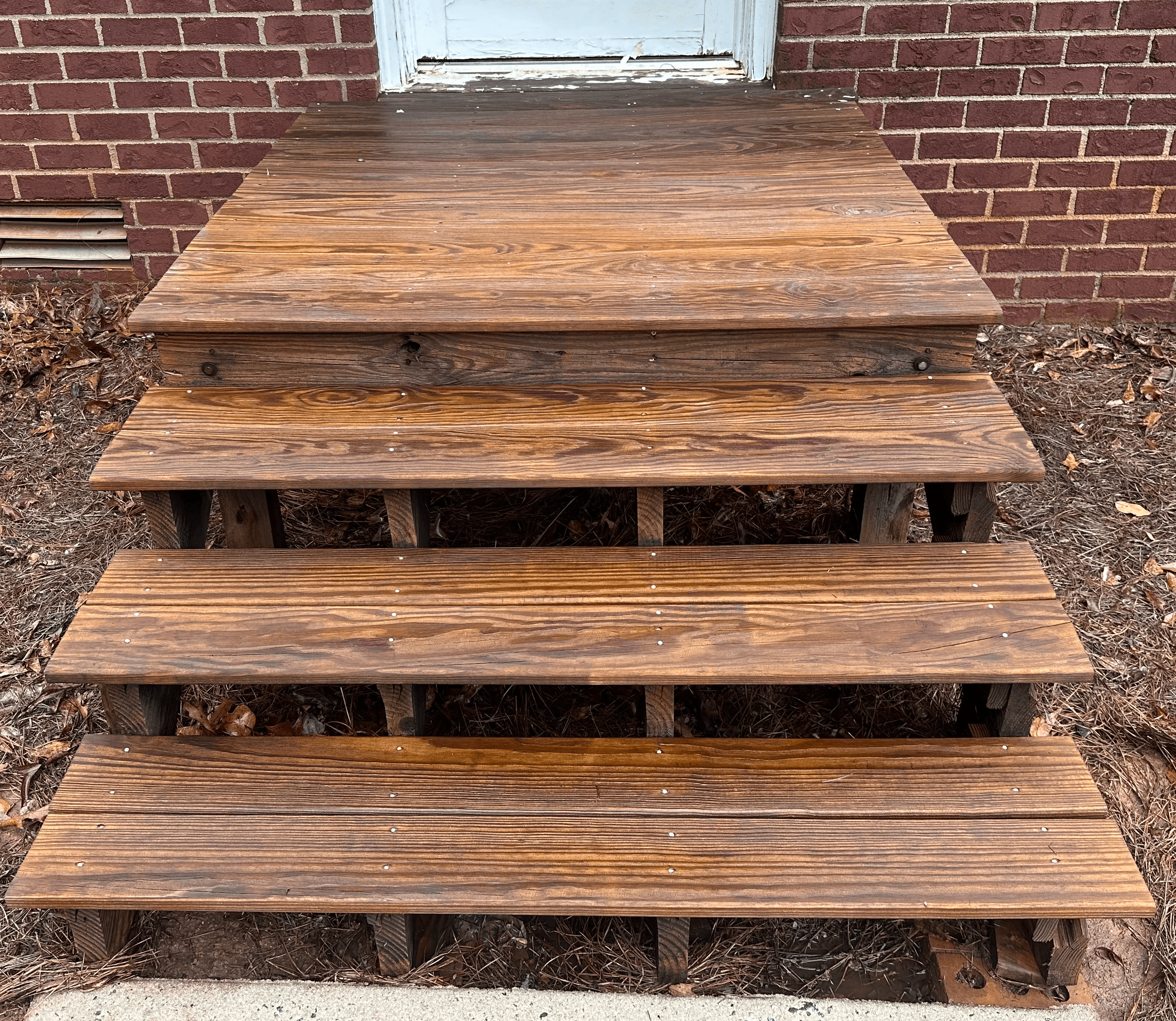 a group of leaves on a tree