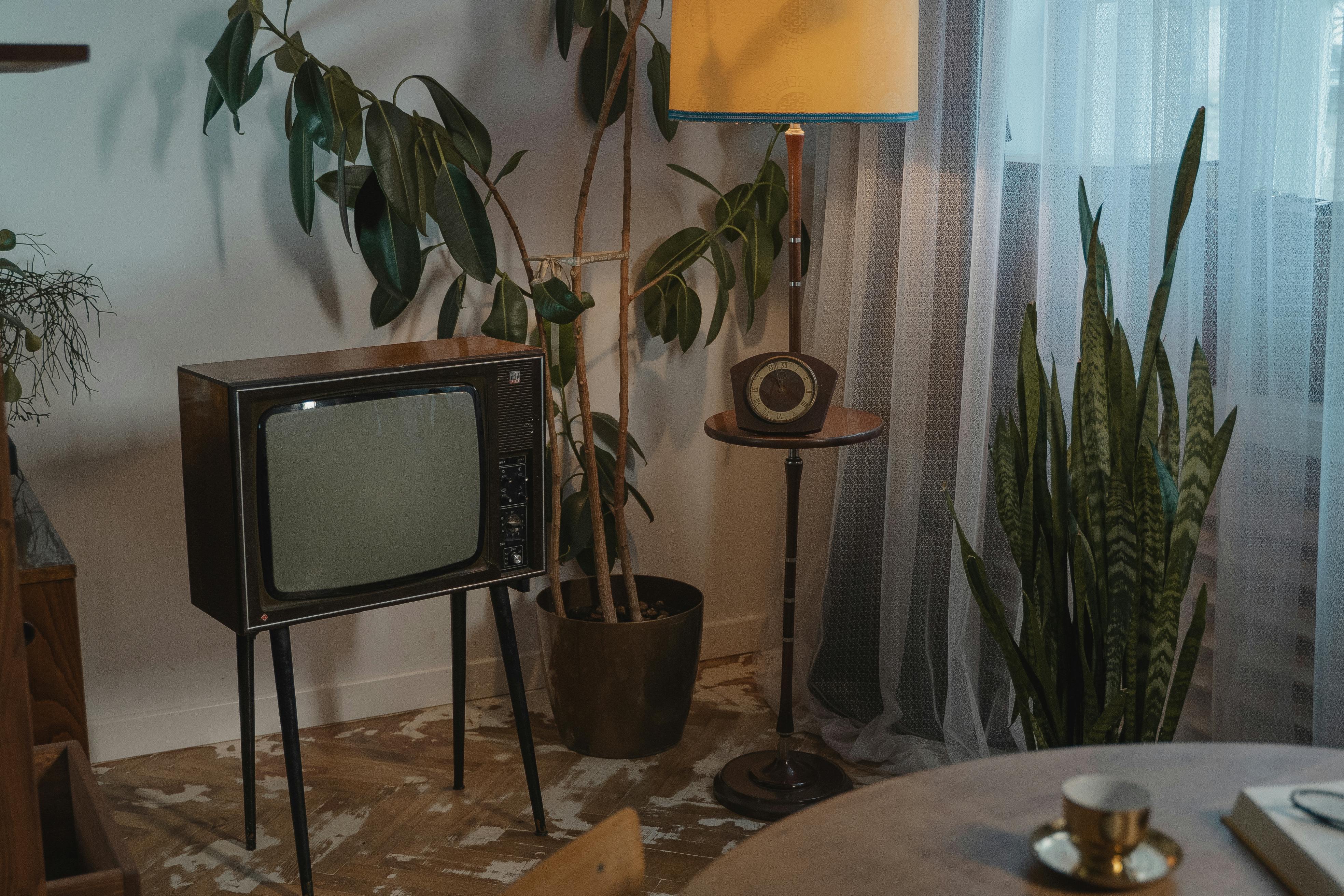 Vintage television set surrounded by indoor plants