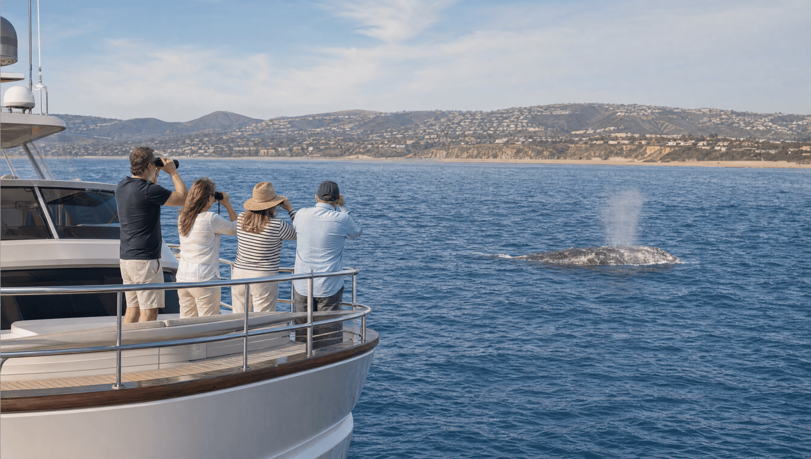 Guests watching a gray whale surface near a yacht off the Southern California coast