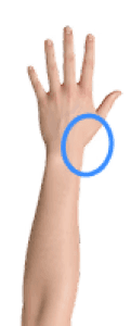 The right-side wrist, near the thumb