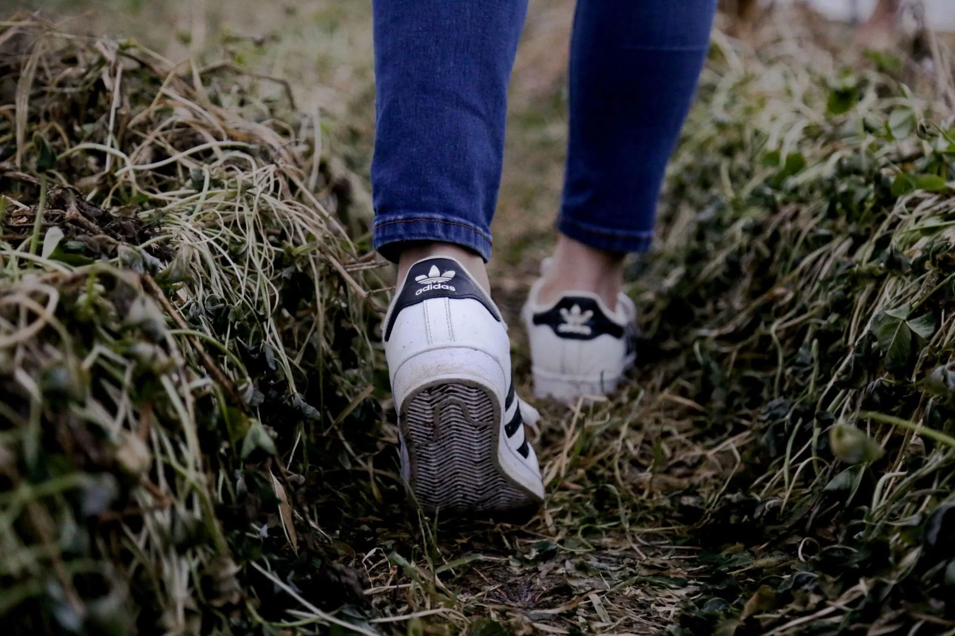 El significado de caminar el camino