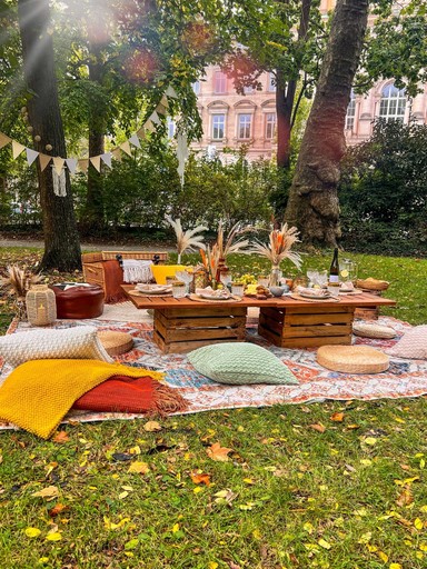 Romantisches Picknick im Wuerzburger Ringpark als Überraschung zur Verlobung oder als intimes Hochzeits-Fotoshooting im Grünen.