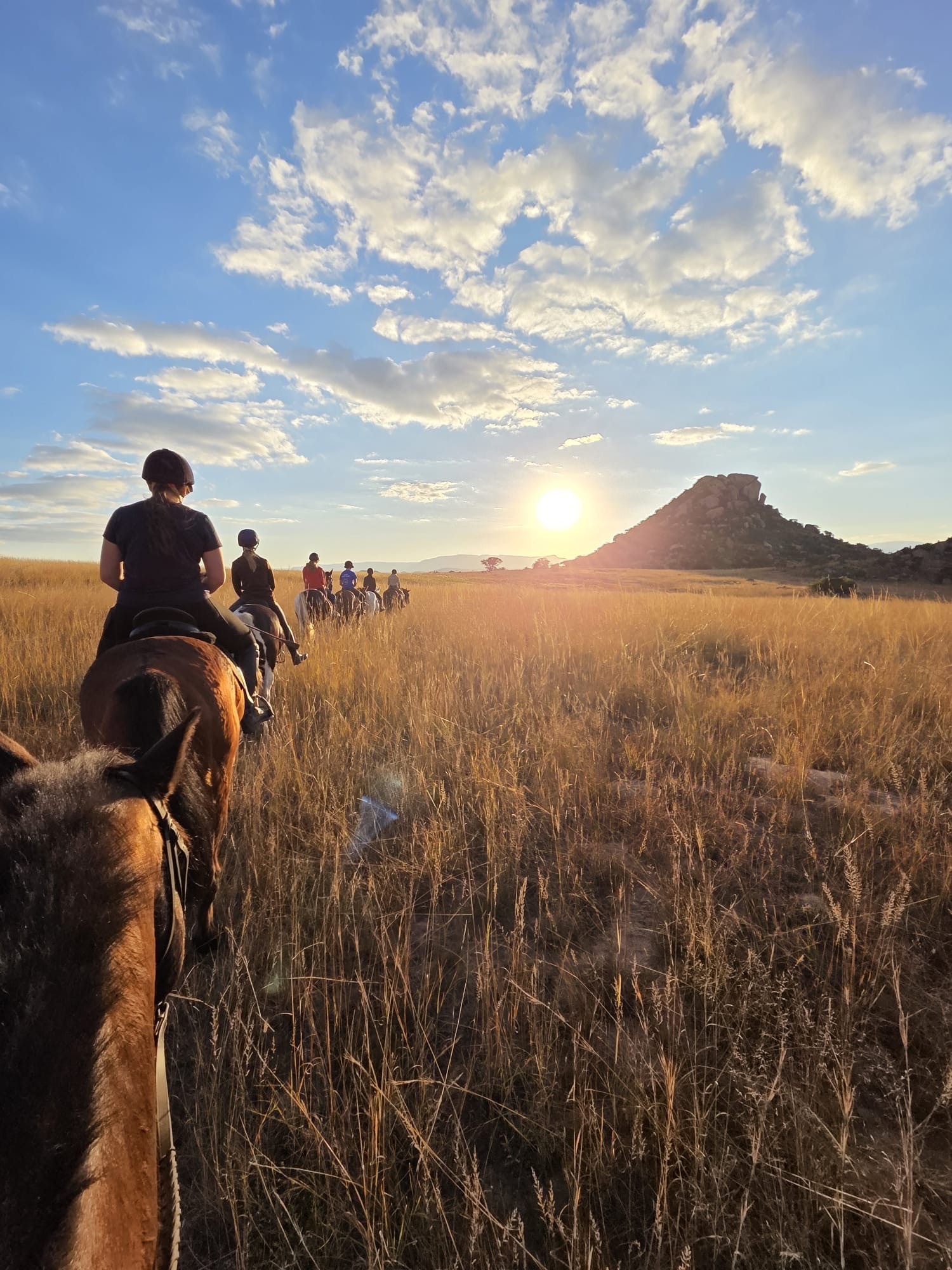 Kilimanjaro Elephant Ride, Arusha National Park, Tanzania – elefant i högt gräs tittar mot kameran, medan fem ryttare till häst på ridsafari i bakgrunden betraktar elefanten i ett grönt och frodigt landskap.
