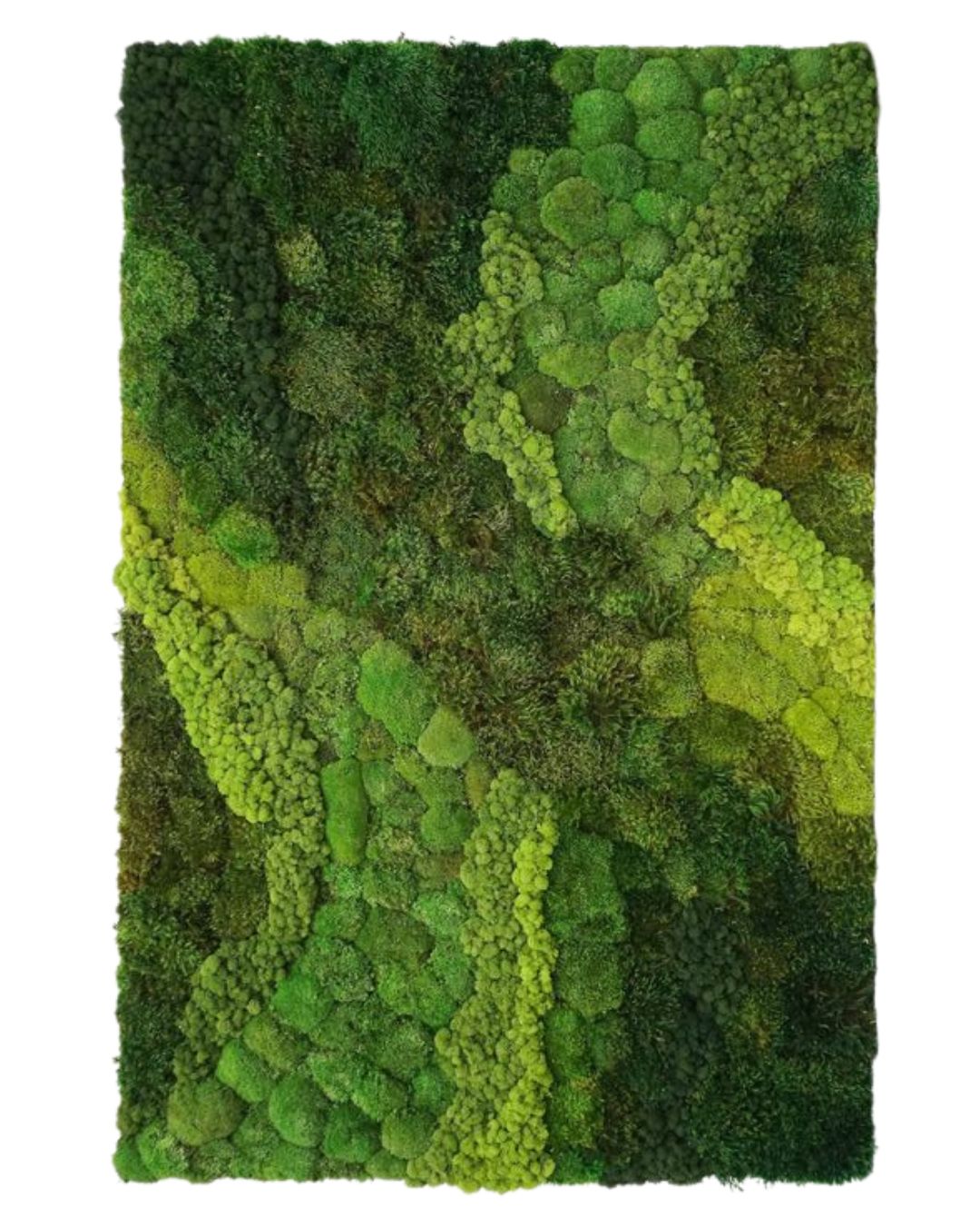 Diseño Muro Verde Cdmx