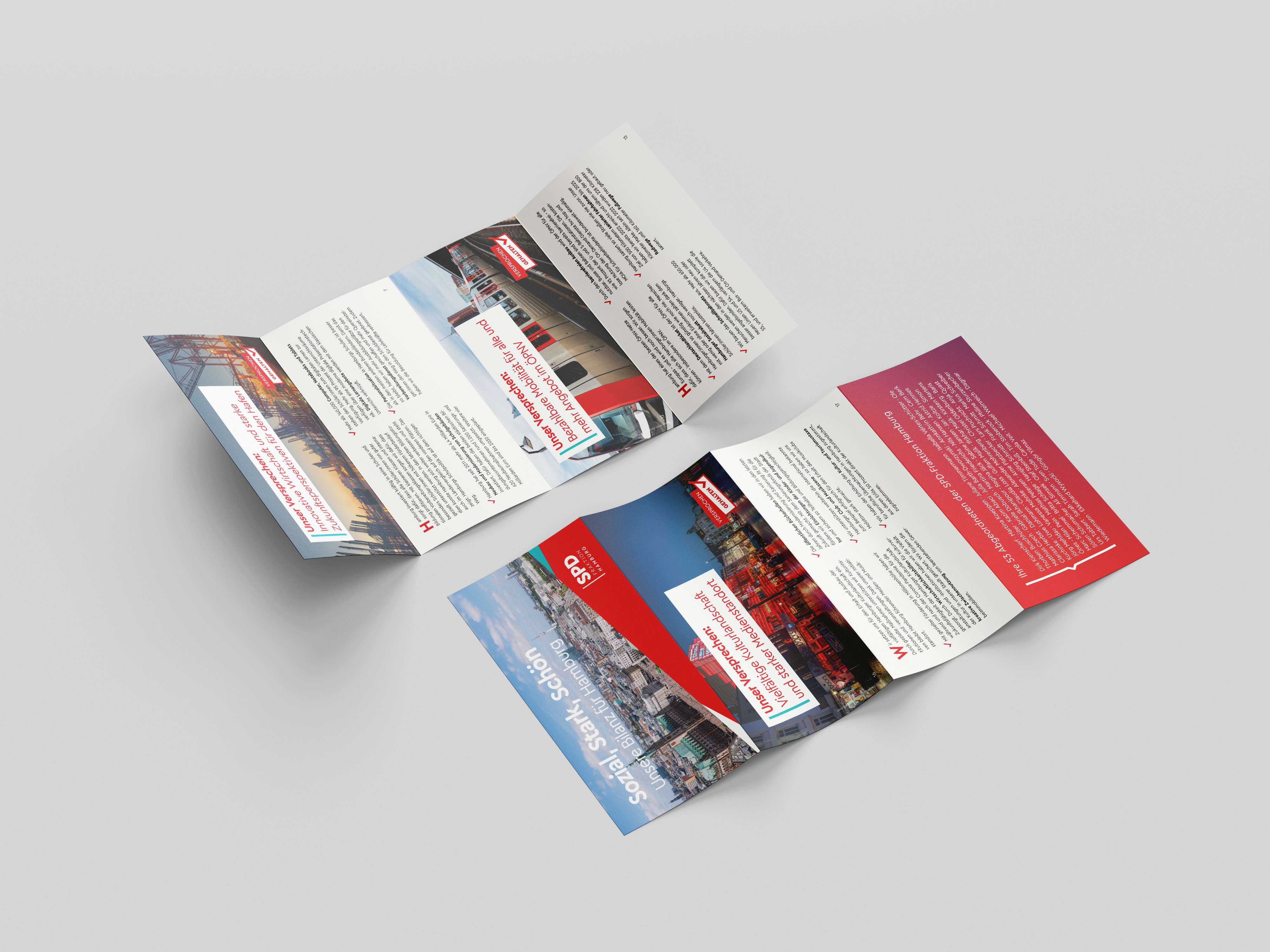 Project Gallery Image for 50% width of the screen #2