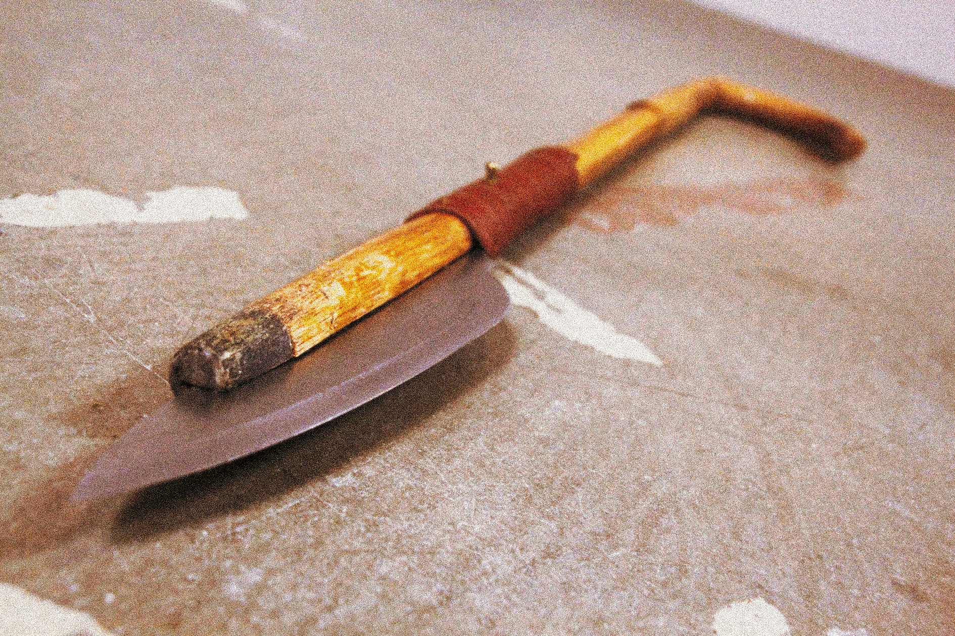 portrait photography