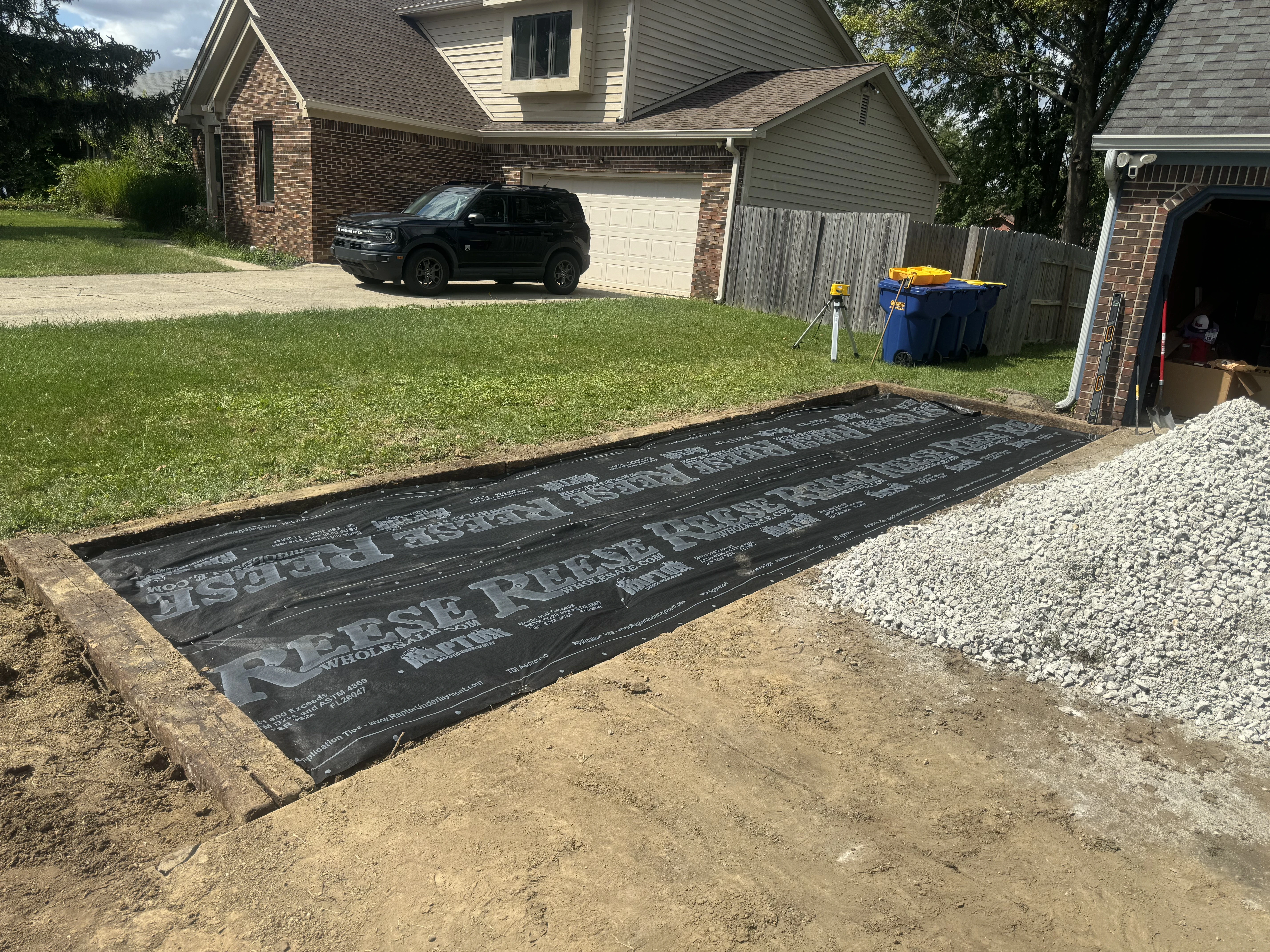 green leaves on white and blue floor tiles