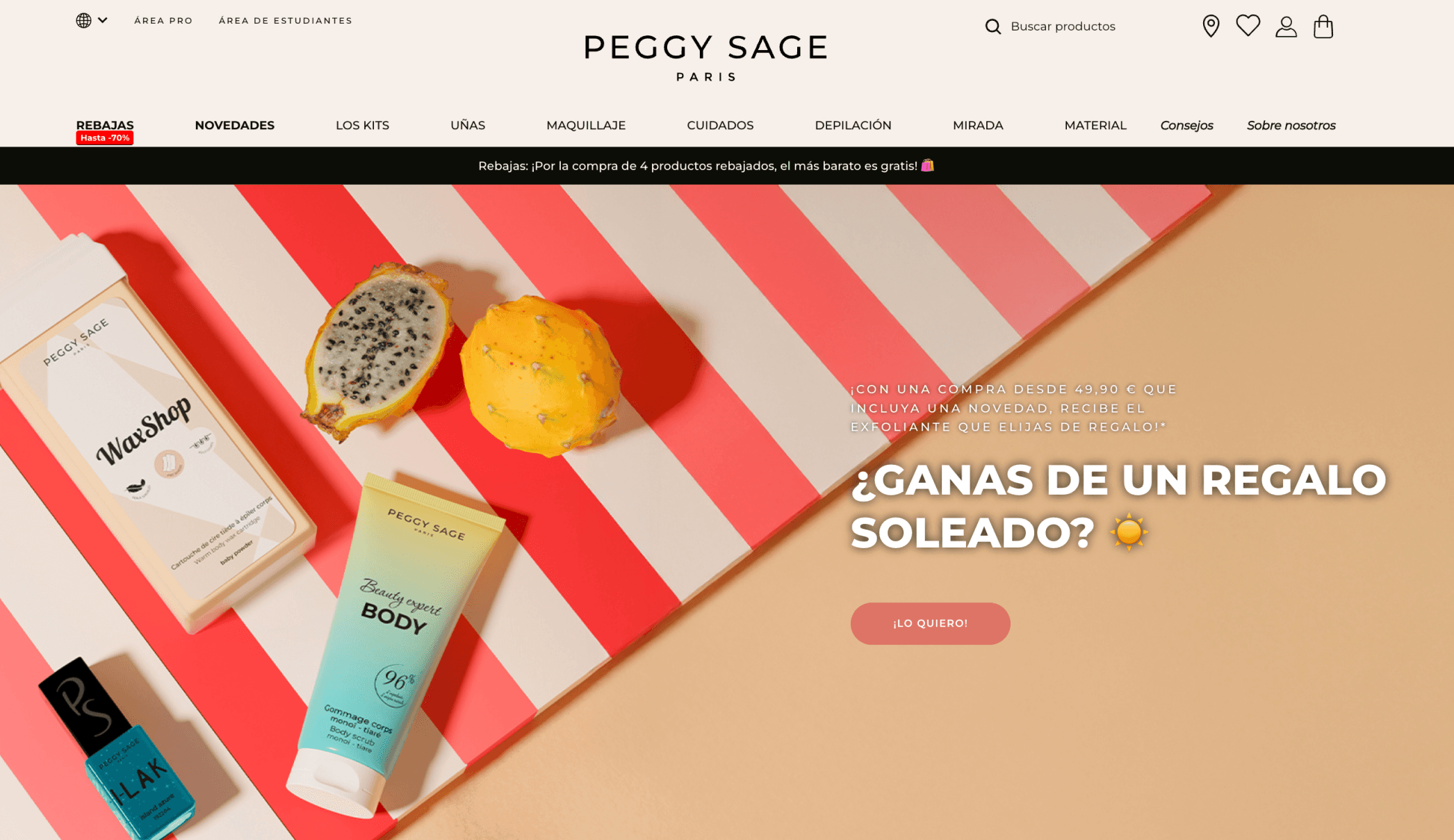 Peggy Sage Digital Twins Website