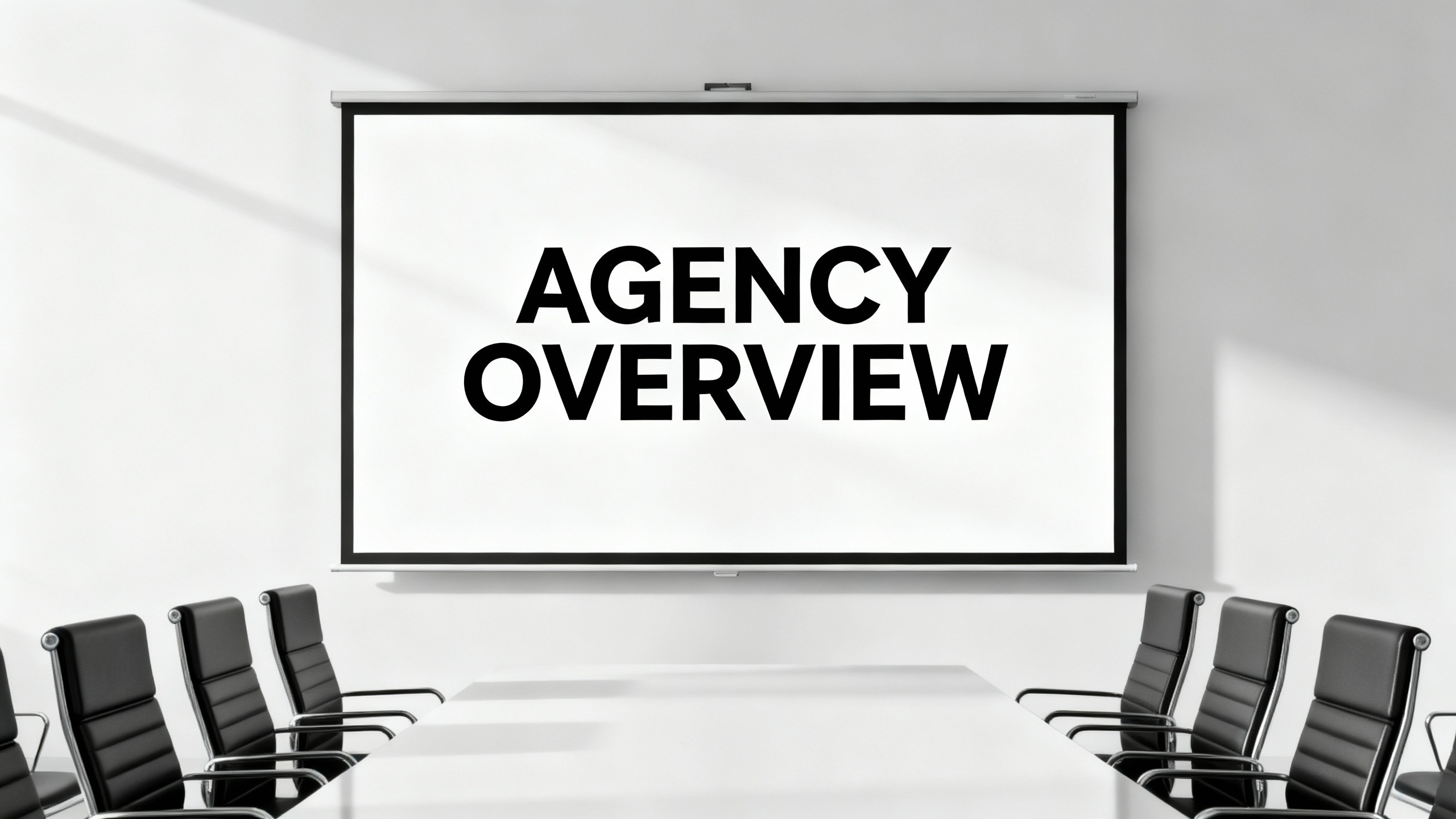 Digital Agency Overview