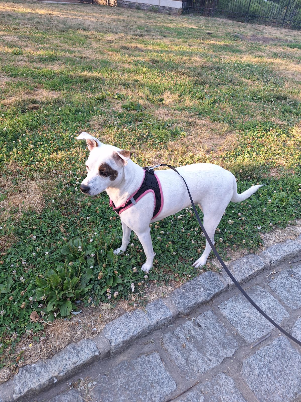 Avatar image for about me page