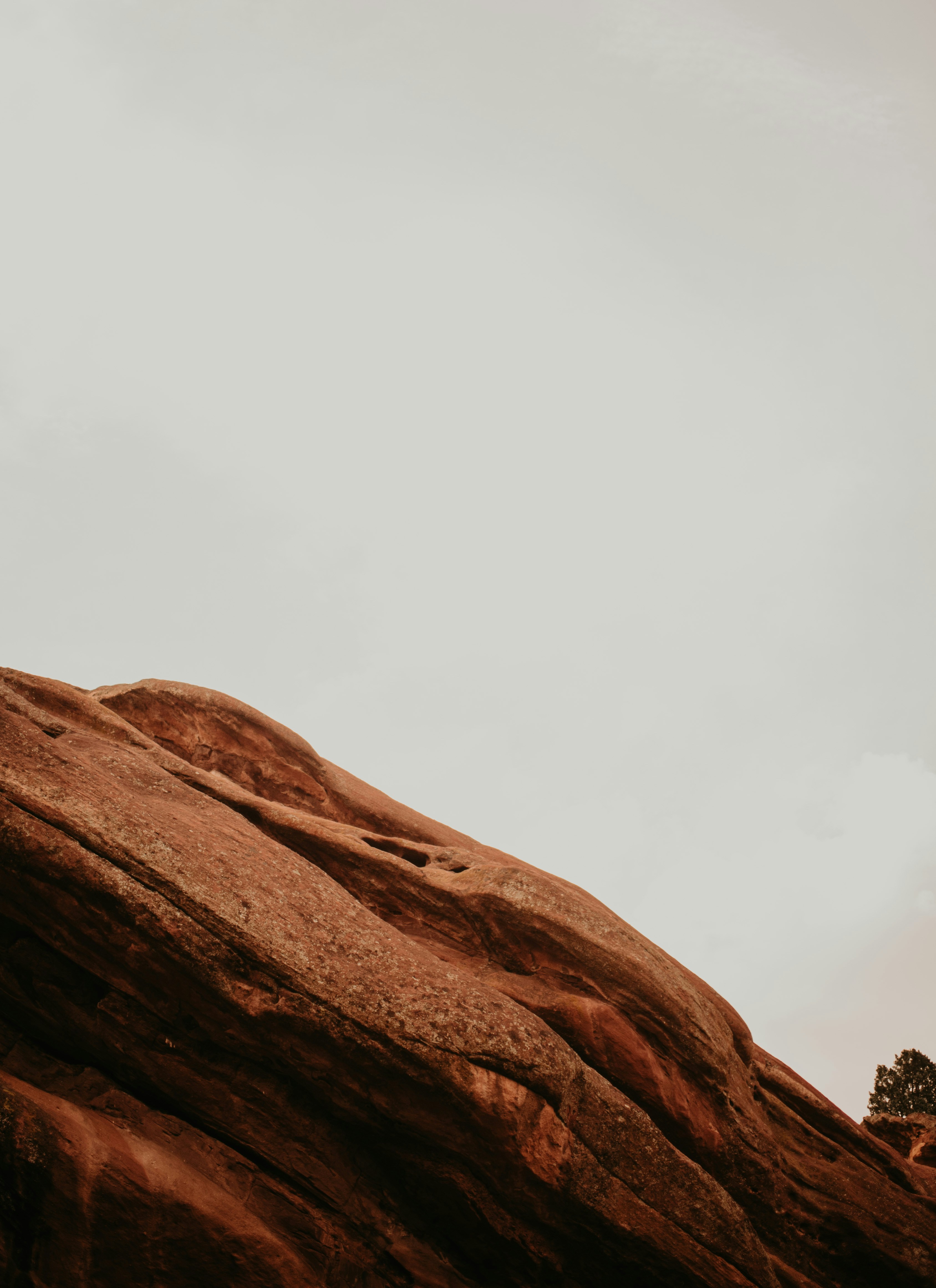 The Grand Canyon