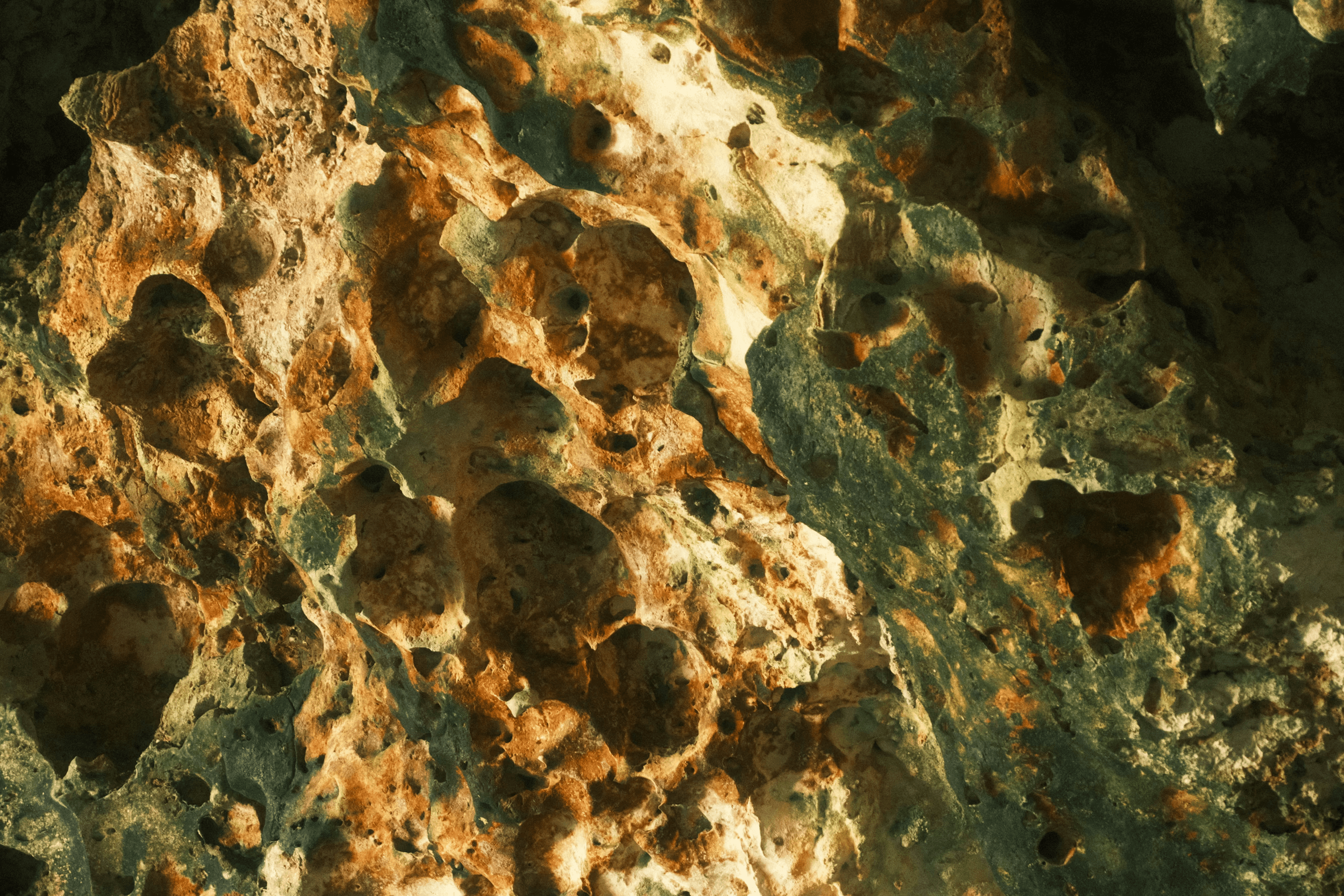Close-up of a green leaf on a light green background
