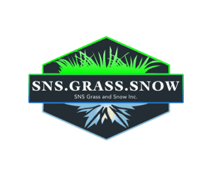 SNS logo