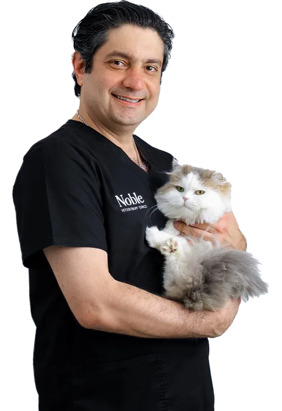 Dr. Rokas Proscevicius: Veterinary Surgeon