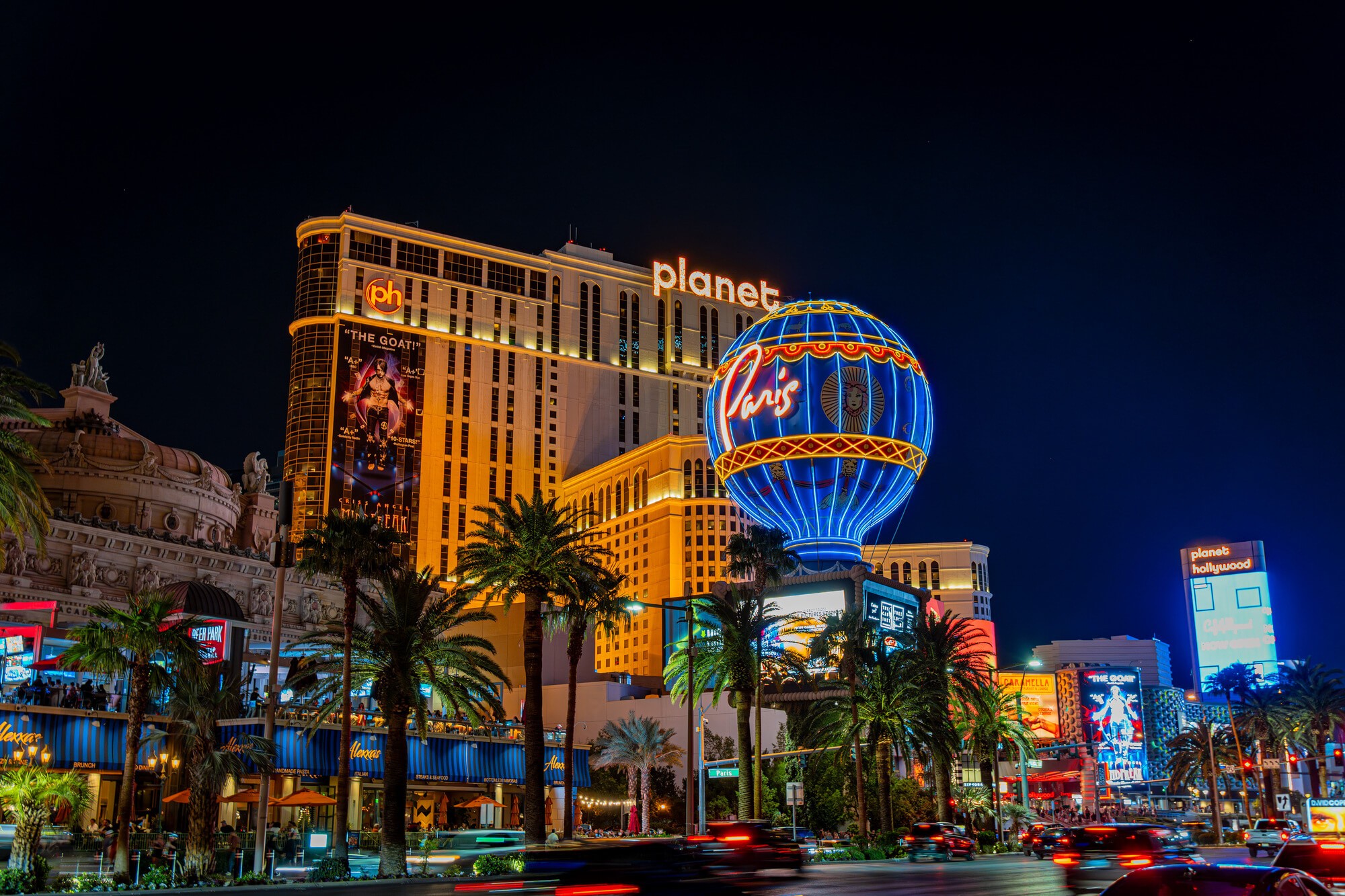 aerial nature photography of green palms on seashore during daytime