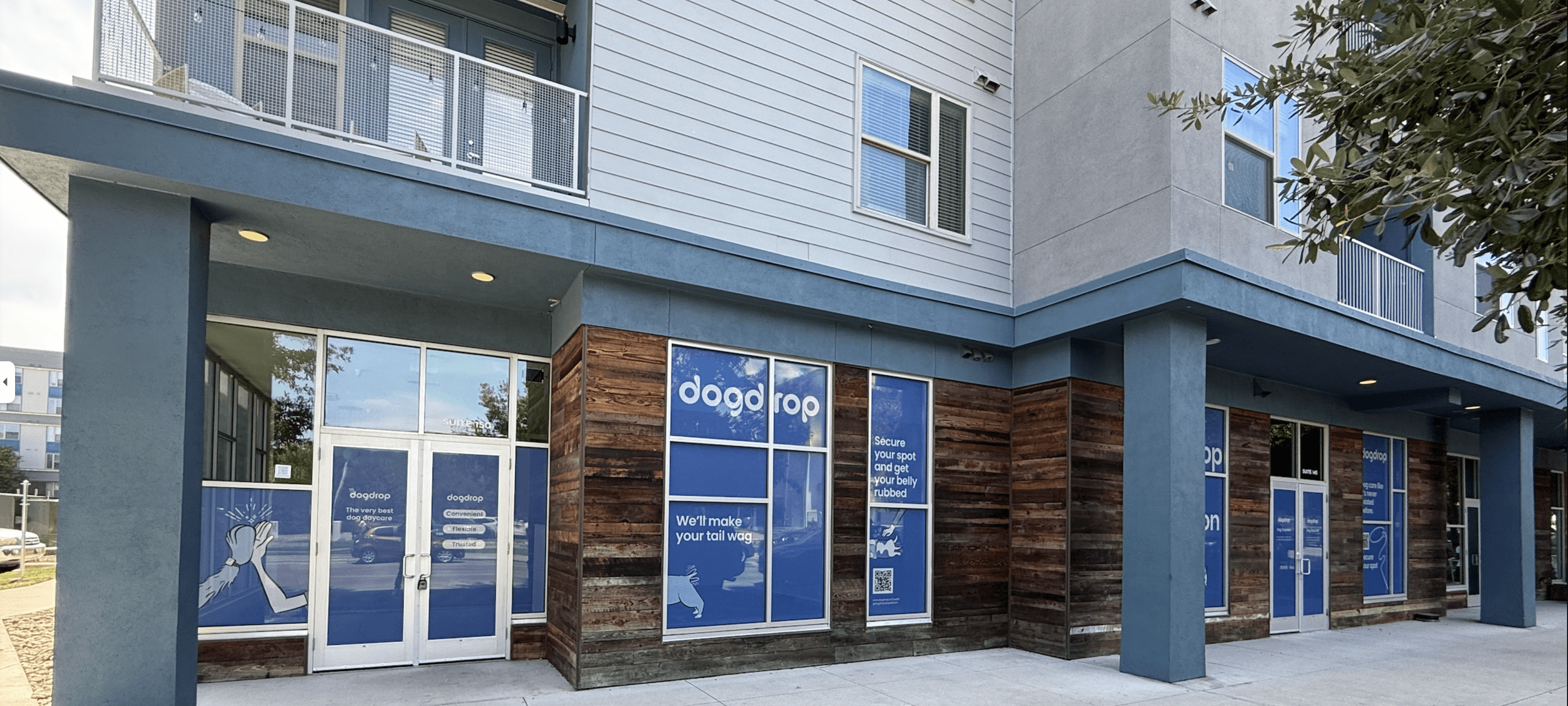 Dogdrop Fort Lauderdale dog daycare