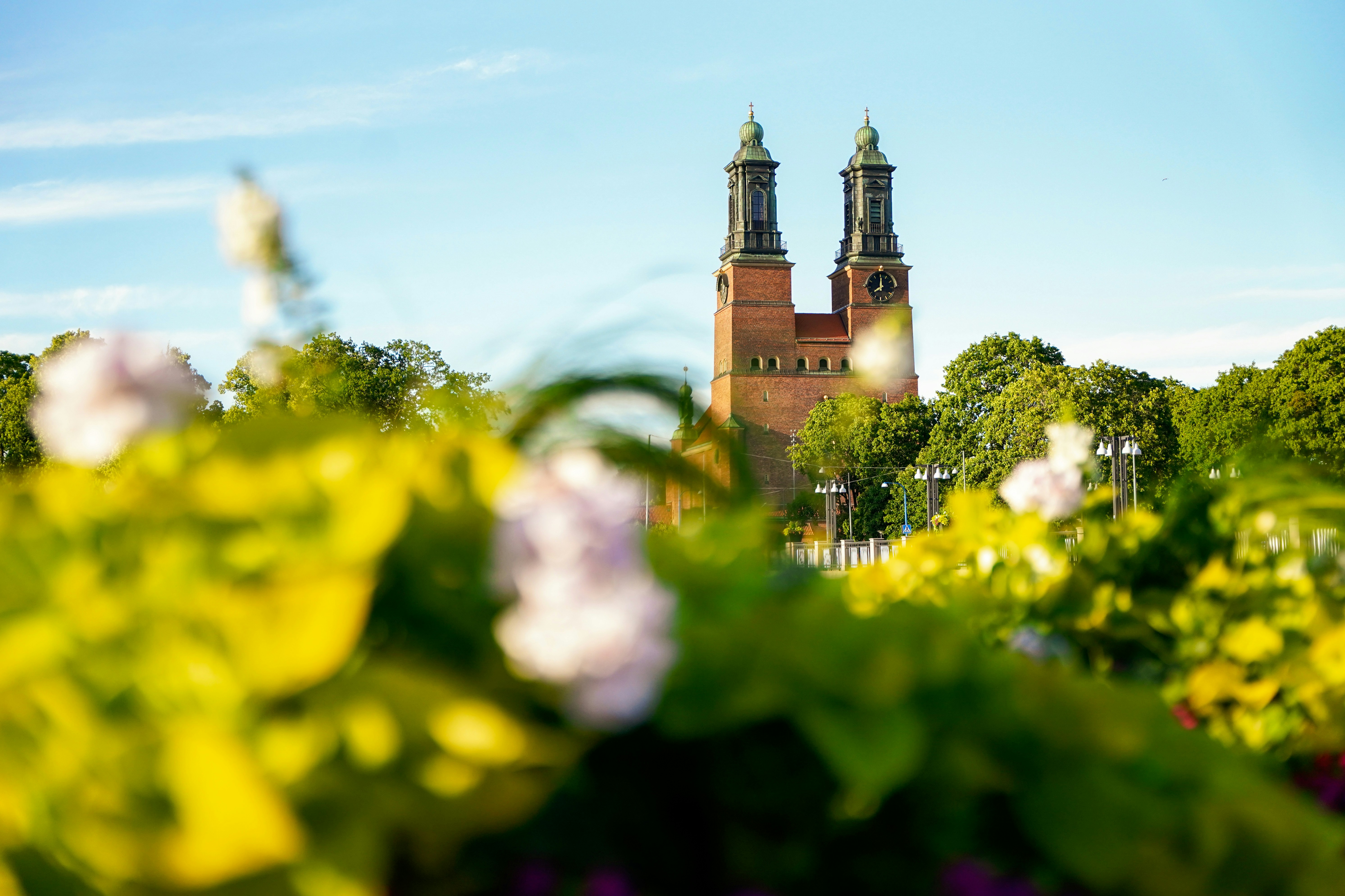 a building behind a field of flowers