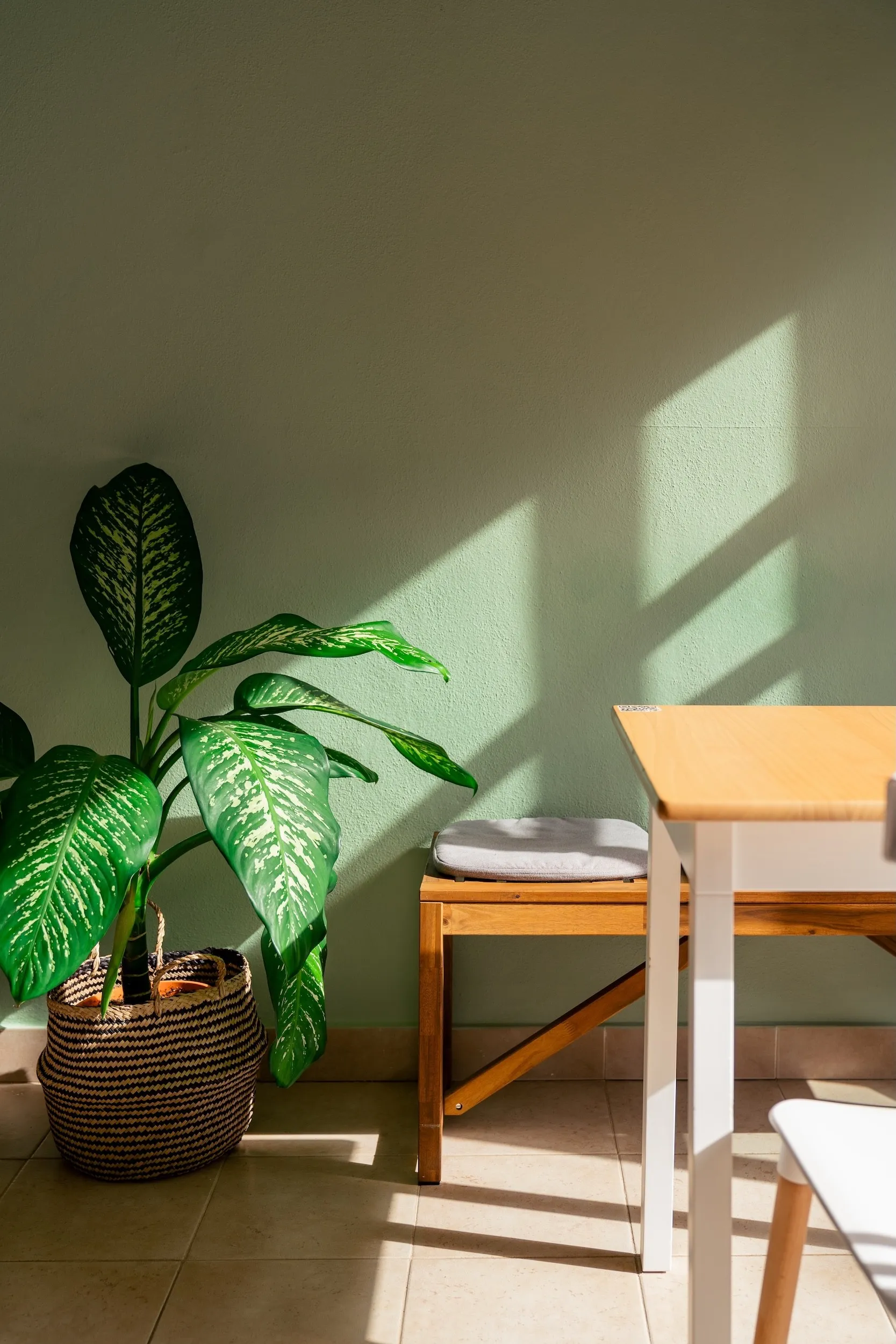 Maitia Café in La Gomera