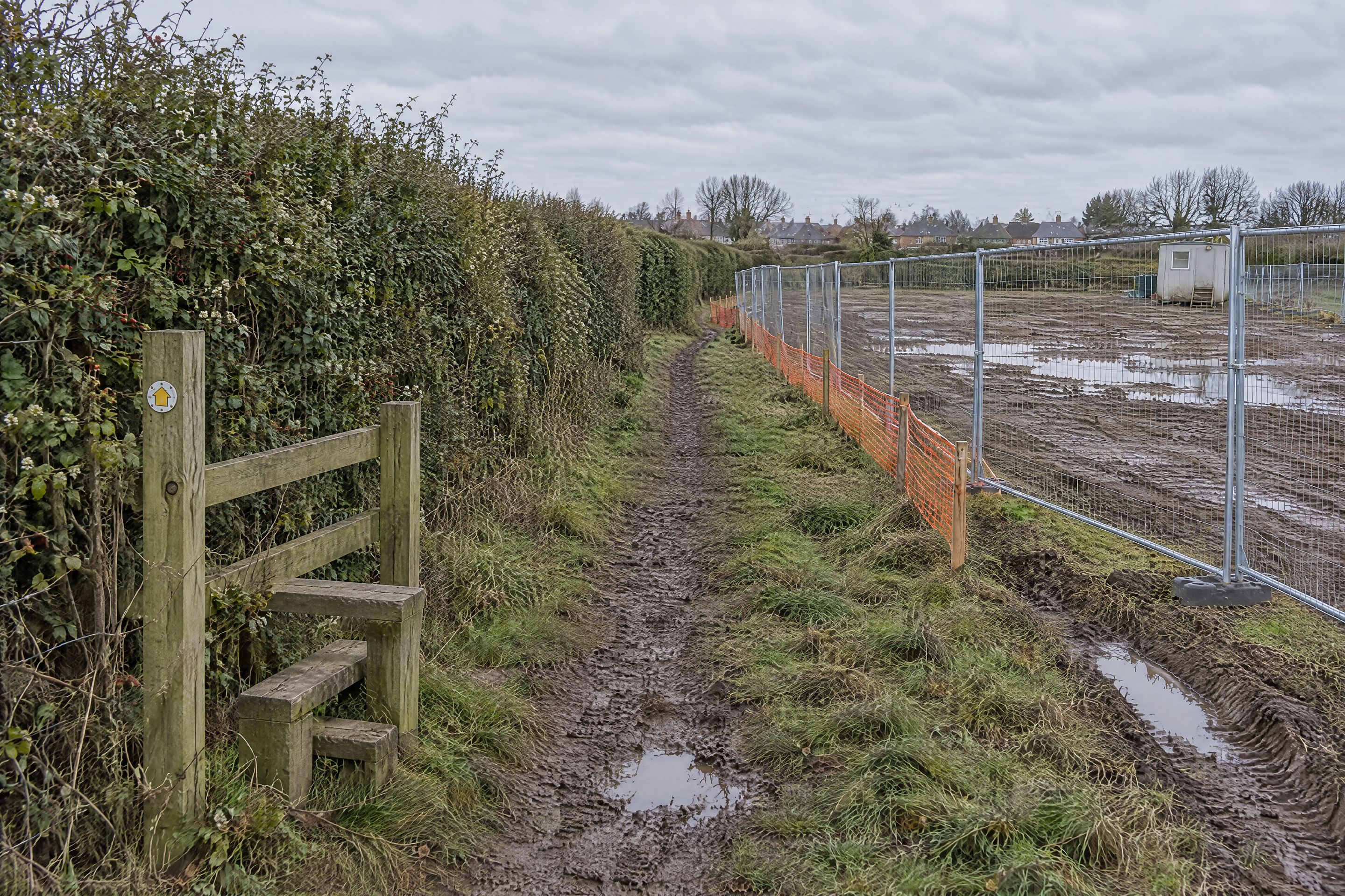 The hawthorn hedgerow kept along the plot boundary, with the public footpath and stile beside it