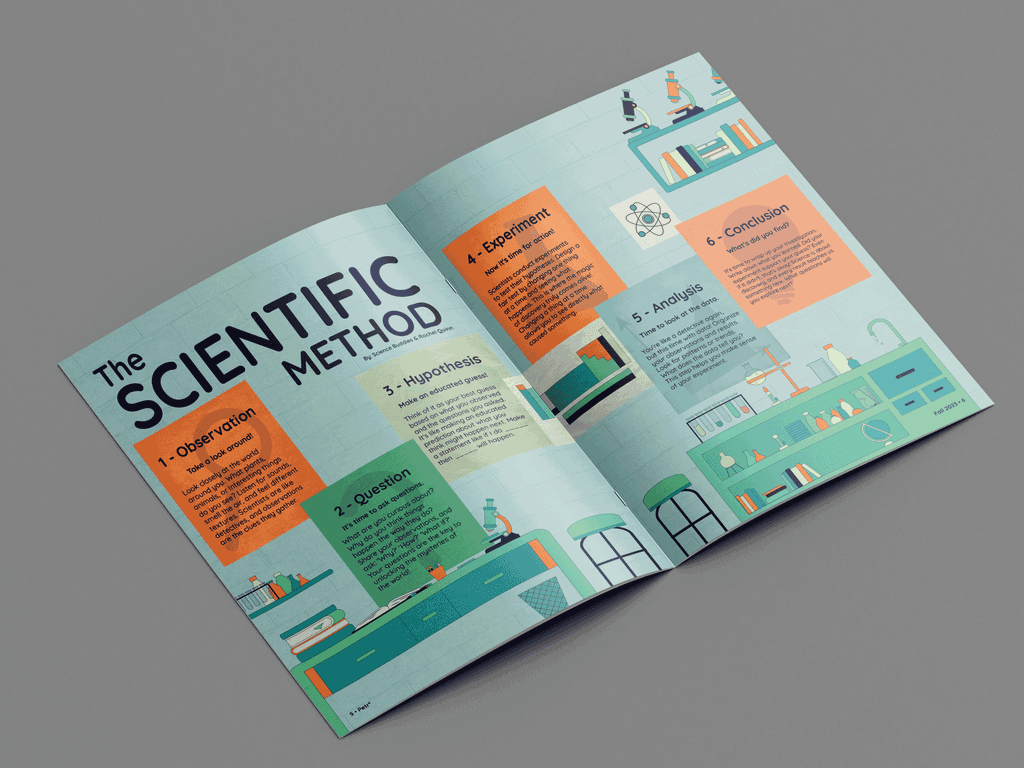Petrii magazine mockup