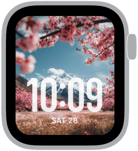blossom range Apple Watch face preview 4 featuring floral and spring.