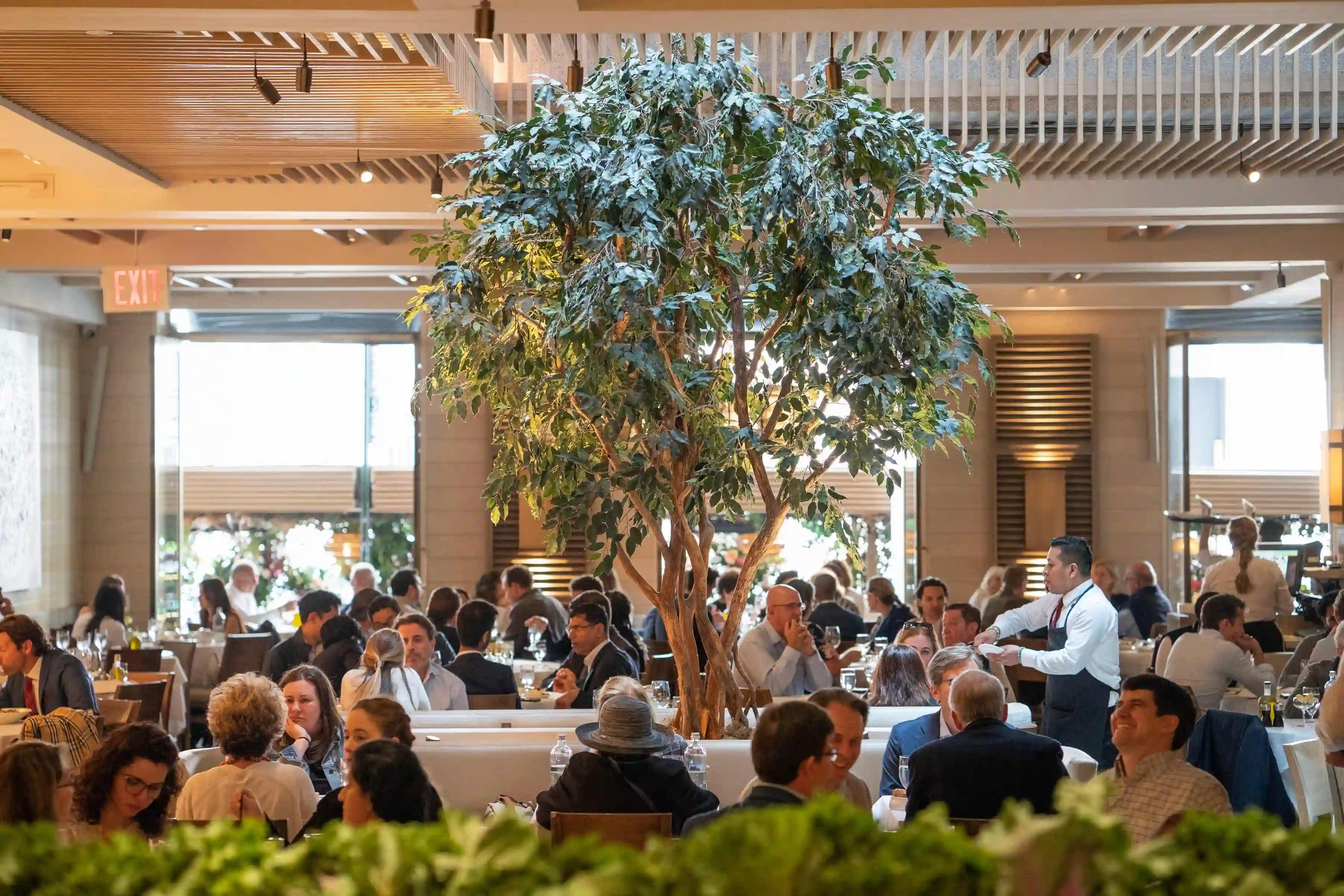 A crowded dining room with people seated at tables, featuring a large tree in the center and bright, airy decor.