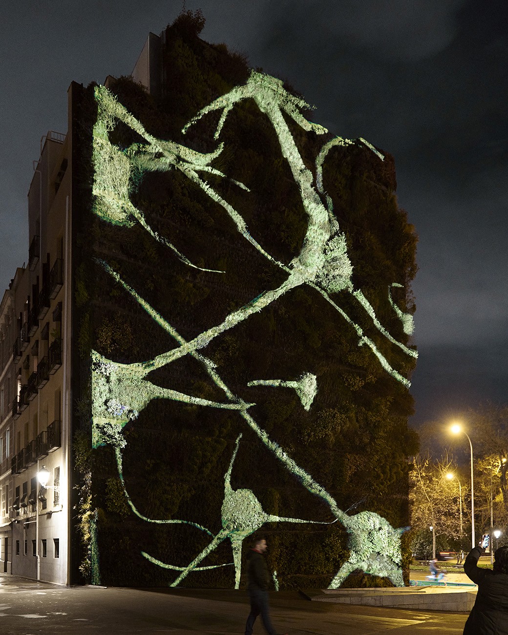 Sequence of the work Nexos projected on the vertical garden of the Caixaforum in Madrid. Texture of the biological neural network.