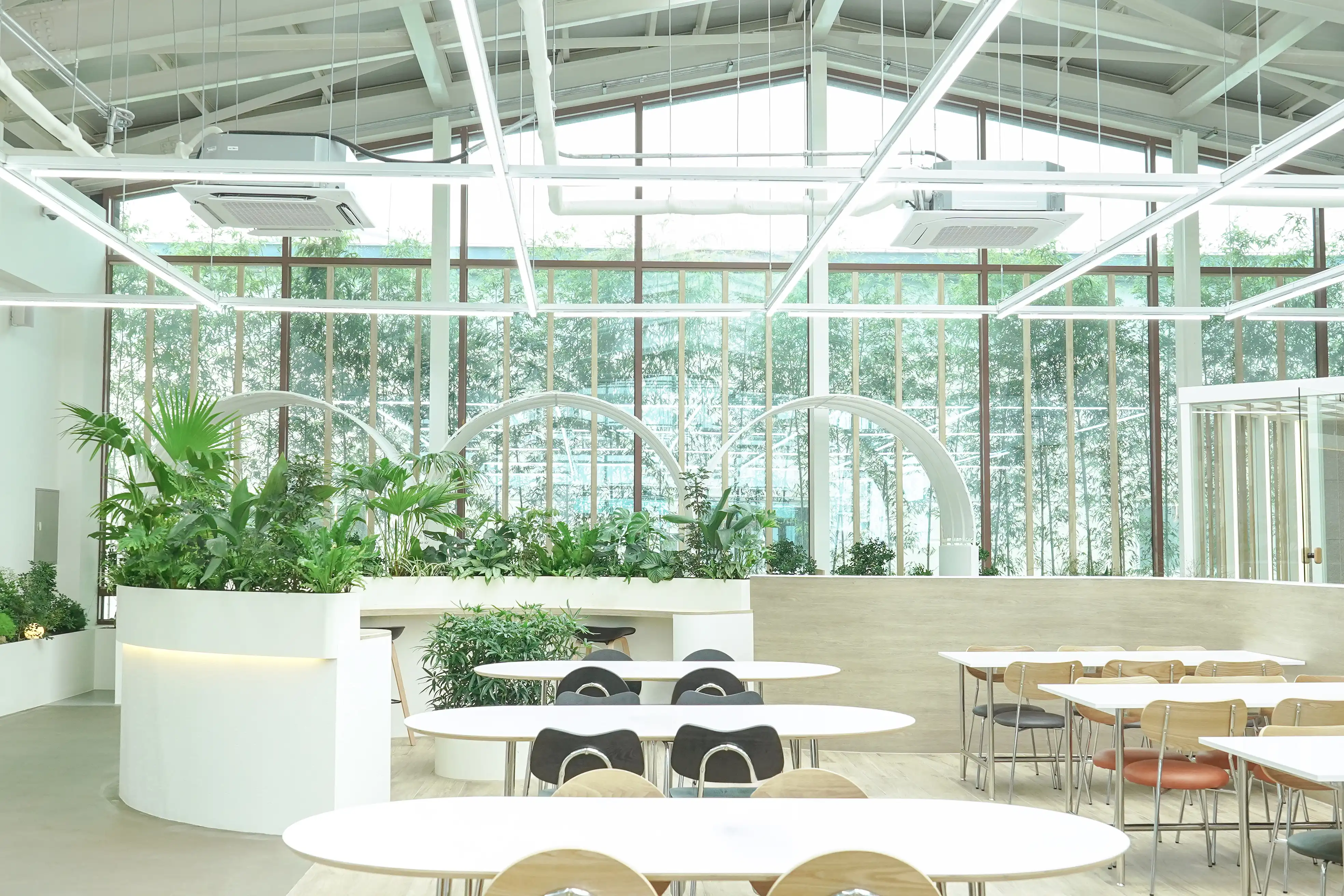 실내정원으로 구성된 플랜테리어의 전체 모습