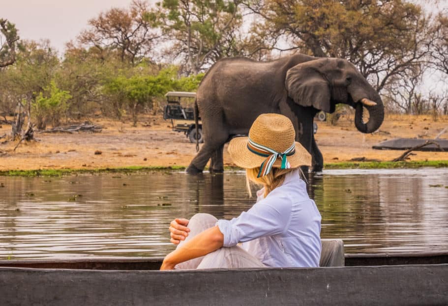 an elephant standing in a body of water