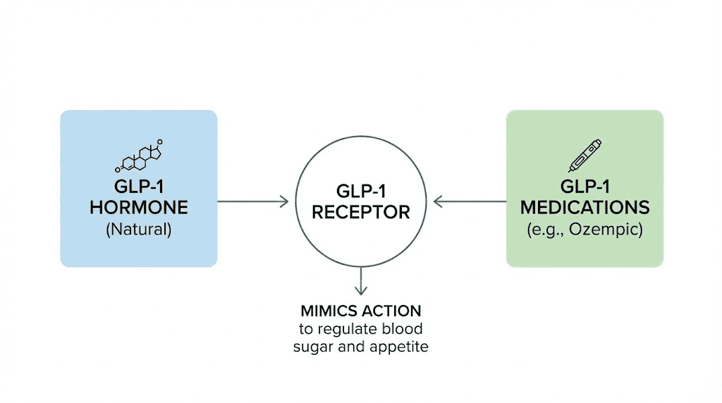 GLP-1 hormone vs Ozempic medication relationship diagram